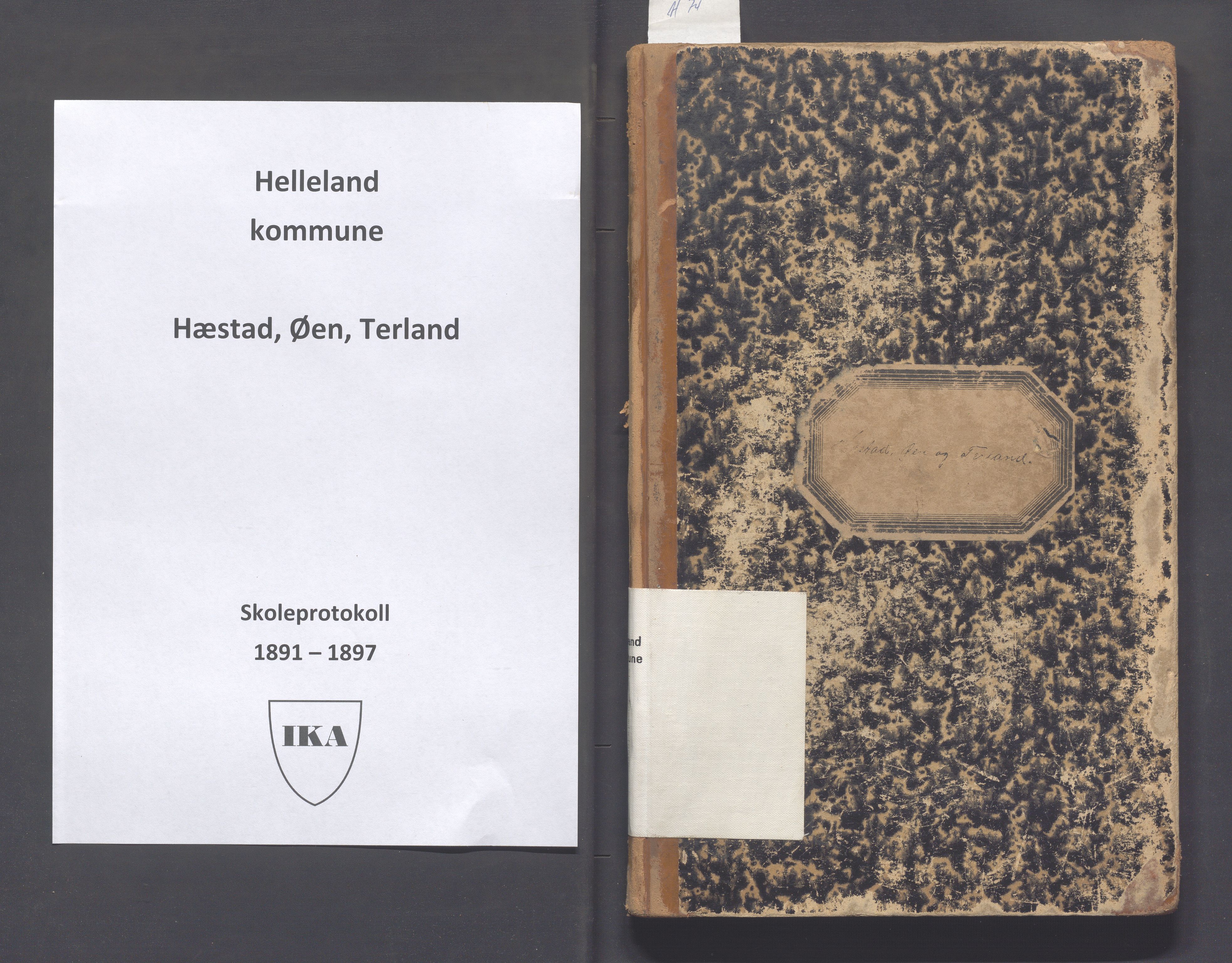 Helleland kommune - Skolekommisjonen/skolestyret, IKAR/K-100486/H/L0012: Skoleprotokoll - Terland, Hæstad, Øen, 1891-1897