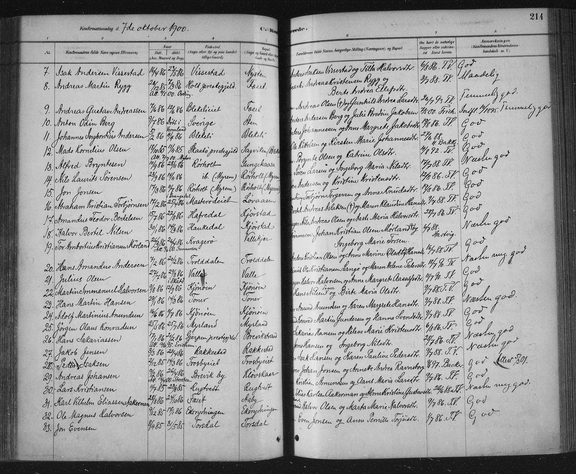 Bamble kirkebøker, AV/SAKO-A-253/F/Fa/L0007: Ministerialbok nr. I 7, 1878-1888, s. 214