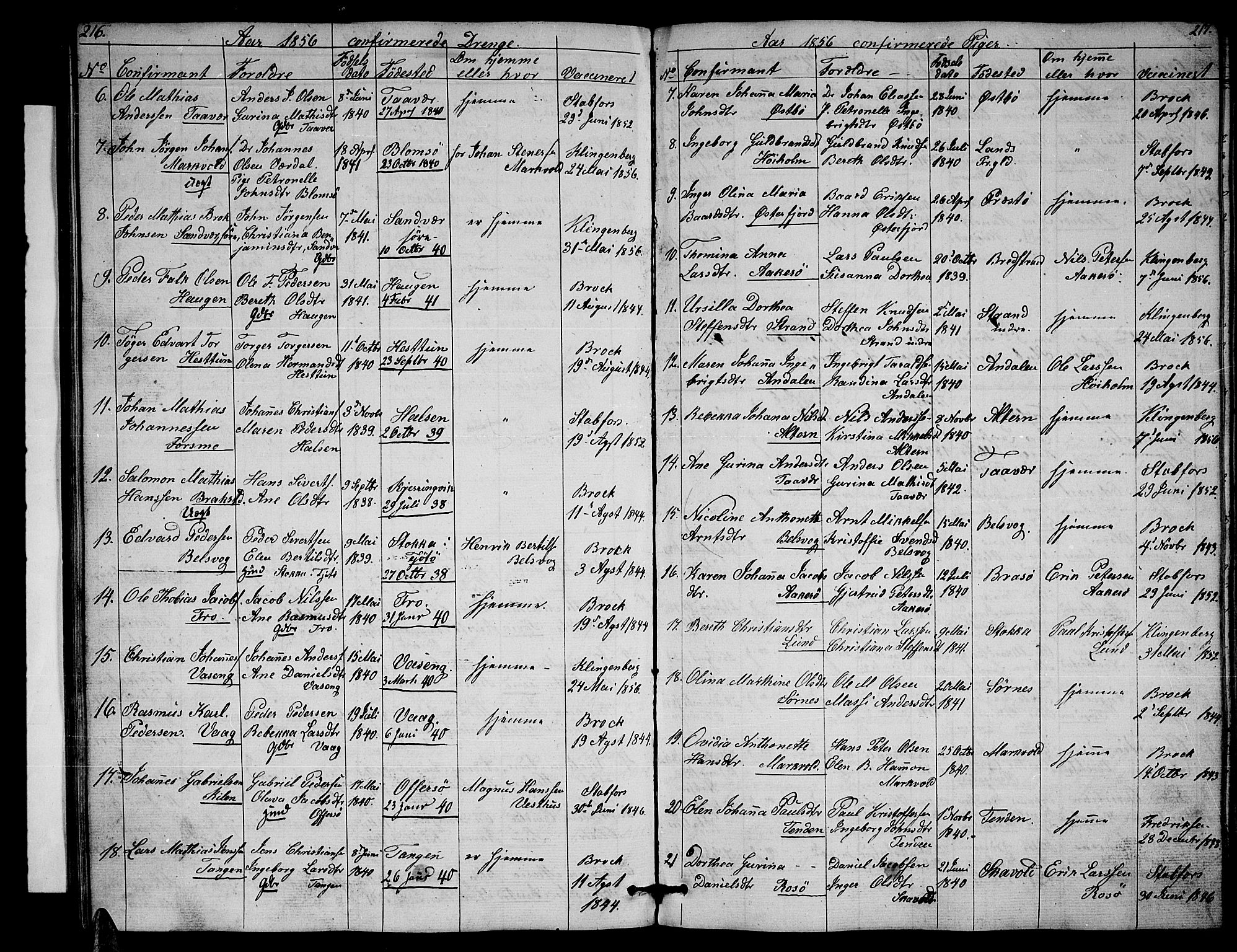 Ministerialprotokoller, klokkerbøker og fødselsregistre - Nordland, AV/SAT-A-1459/830/L0460: Klokkerbok nr. 830C02, 1843-1865, s. 216-217