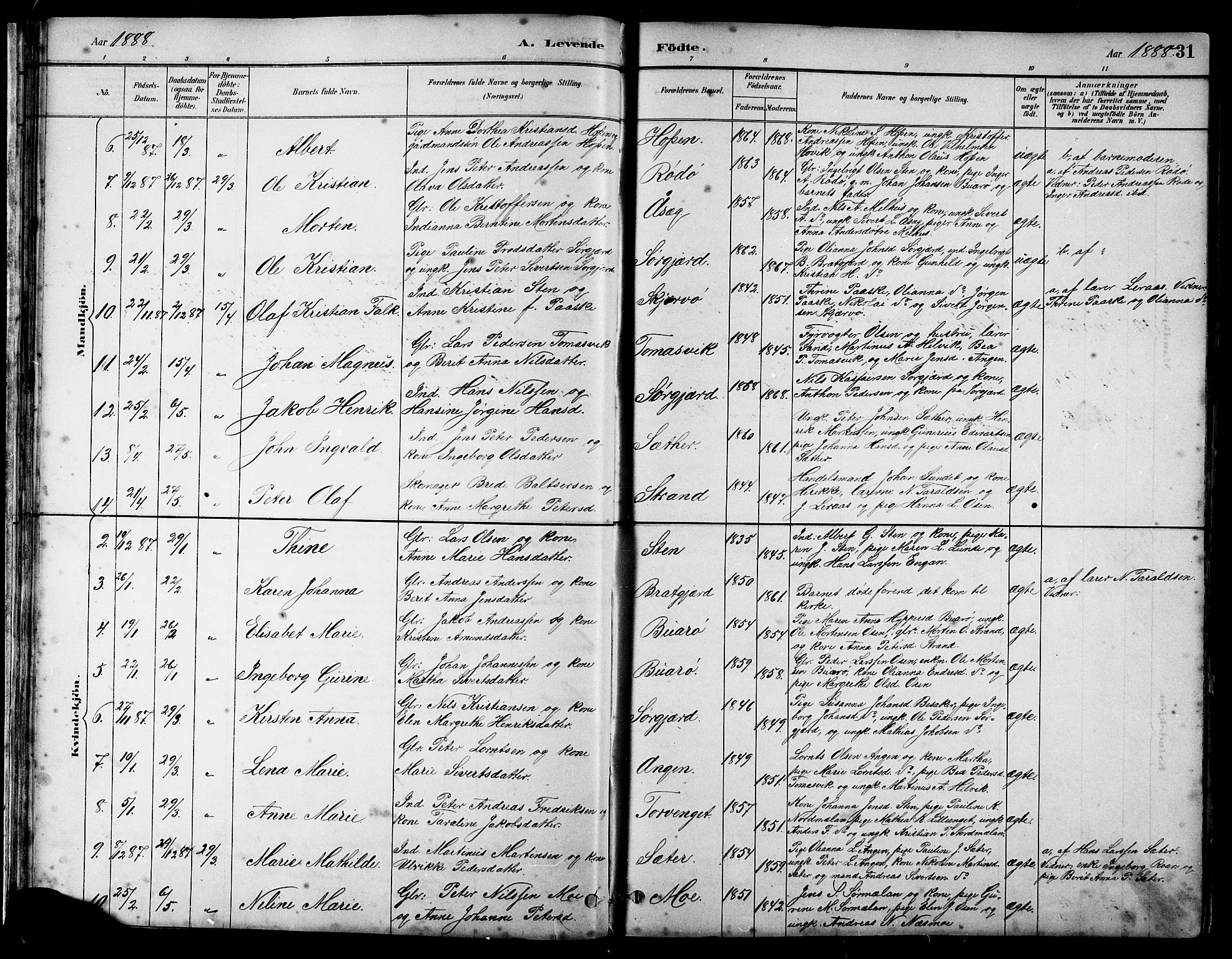 Ministerialprotokoller, klokkerbøker og fødselsregistre - Sør-Trøndelag, AV/SAT-A-1456/658/L0726: Klokkerbok nr. 658C02, 1883-1908, s. 31