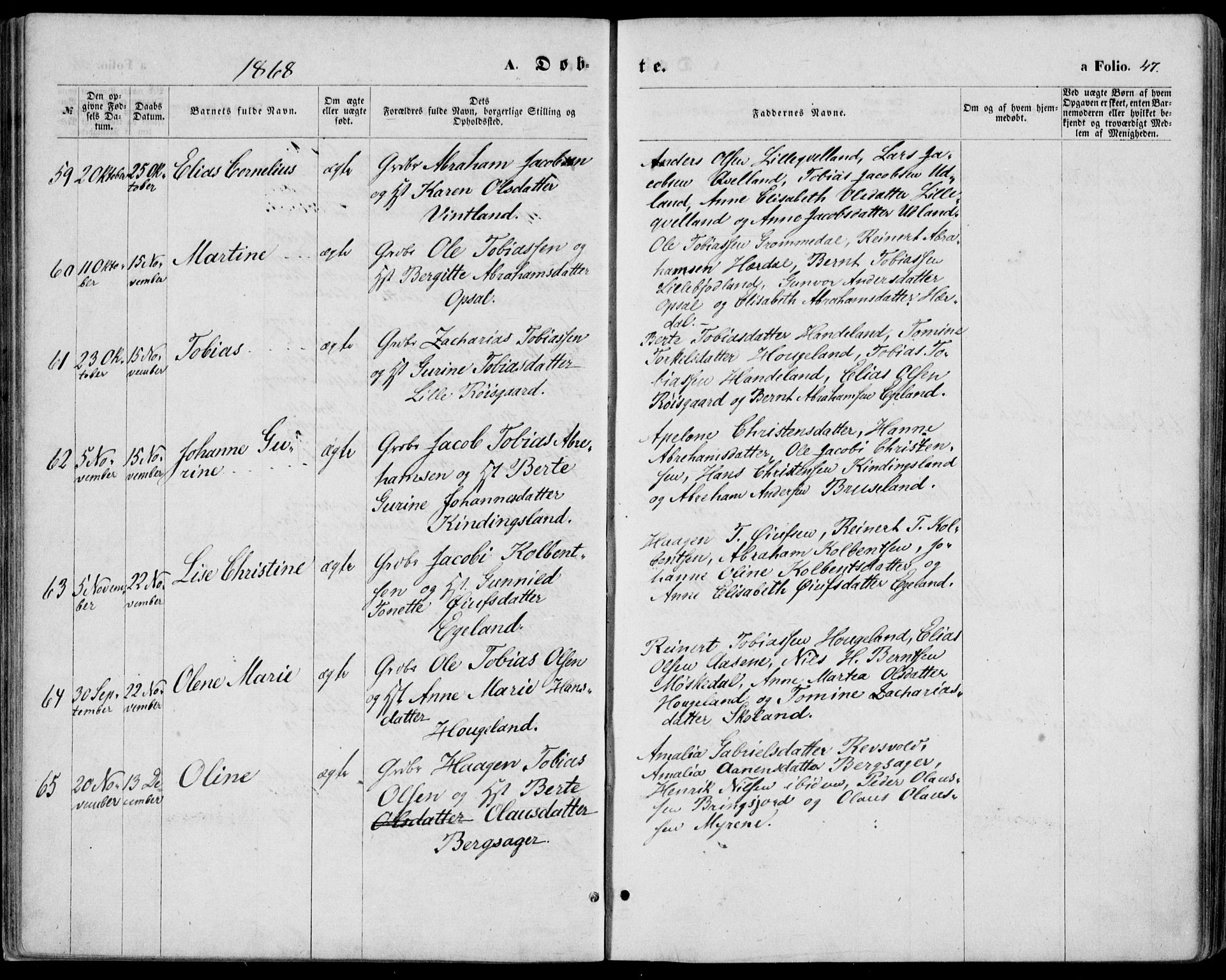 Lyngdal sokneprestkontor, AV/SAK-1111-0029/F/Fa/Fac/L0010: Ministerialbok nr. A 10, 1865-1878, s. 47
