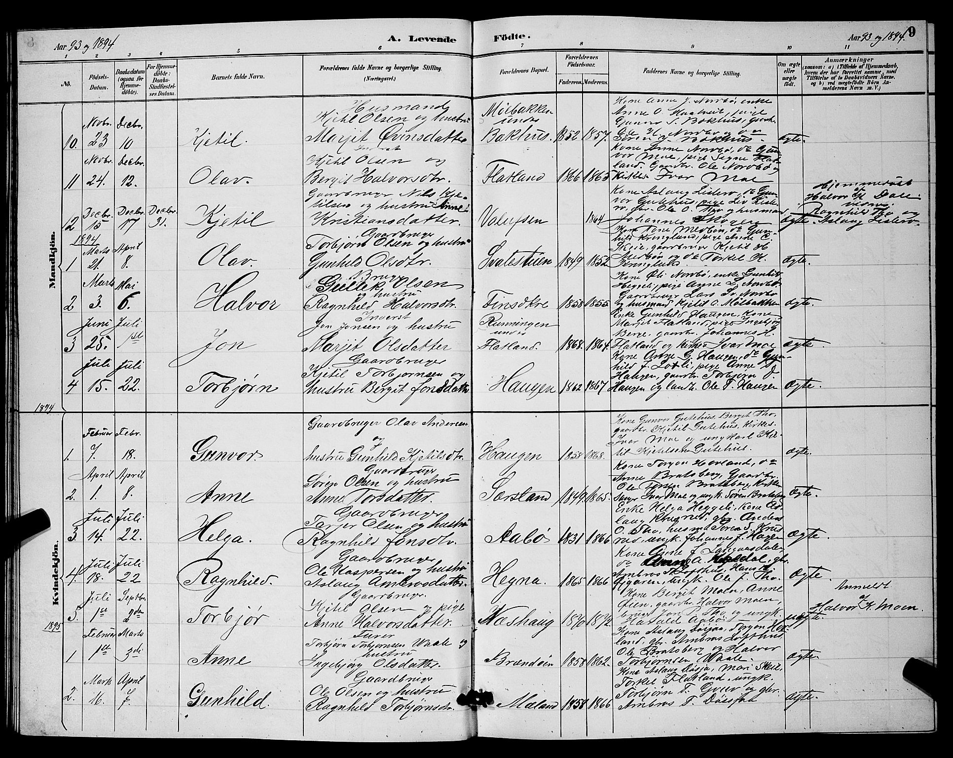 Hjartdal kirkebøker, AV/SAKO-A-270/G/Ga/L0003: Klokkerbok nr. I 3, 1889-1896, s. 9