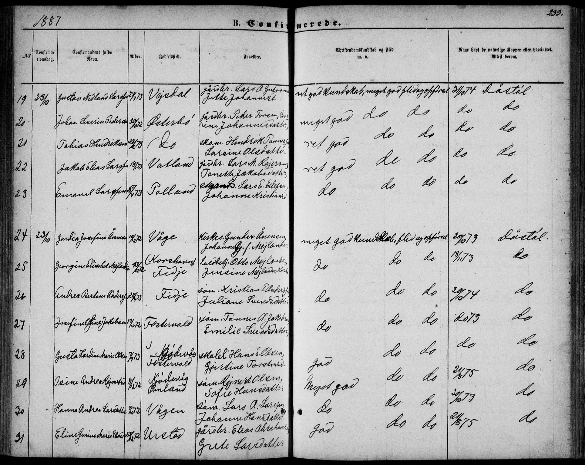 Flekkefjord sokneprestkontor, AV/SAK-1111-0012/F/Fb/Fbb/L0003: Klokkerbok nr. B 3, 1867-1889, s. 233