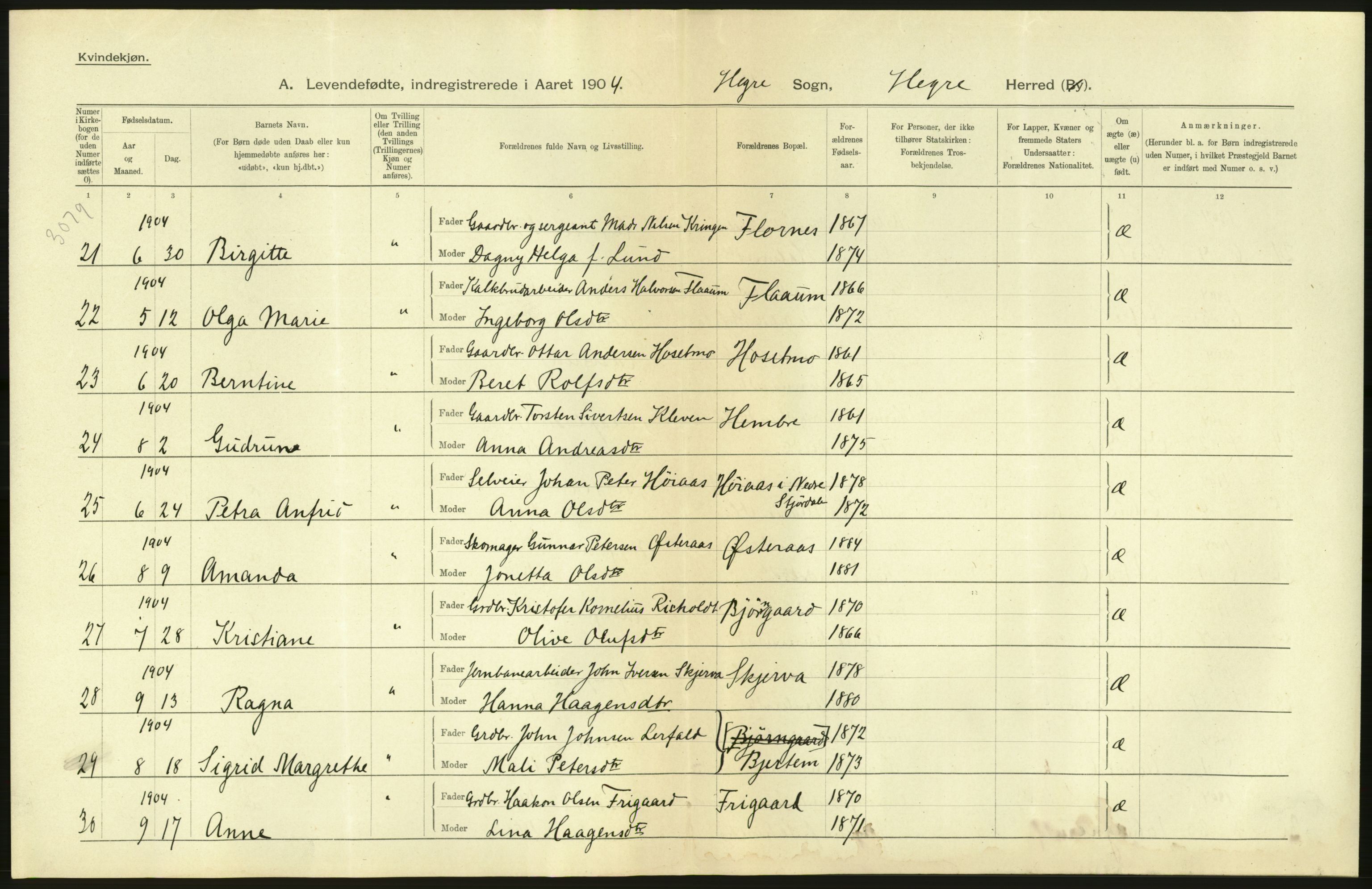 Statistisk sentralbyrå, Sosiodemografiske emner, Befolkning, AV/RA-S-2228/D/Df/Dfa/Dfab/L0019: Nordre Trondhjems amt: Fødte, gifte, døde, 1904, s. 62