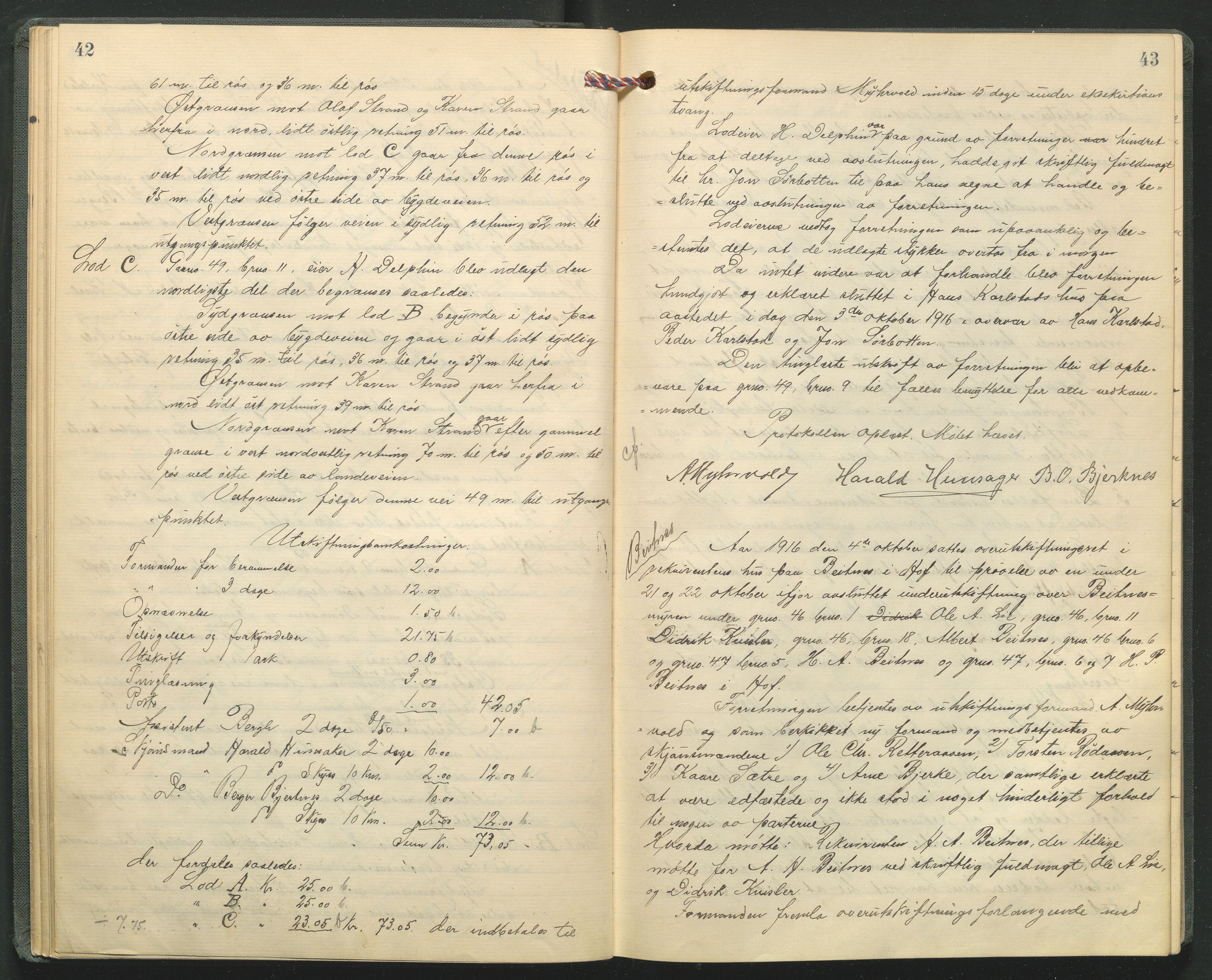 Hedmark og Østerdal jordskifterett, AV/SAH-JORDSKIFTEH-002/G/Ga/L0005/0001: Rettsbøker / Rettsbok - O, 1916-1921, s. 42-43