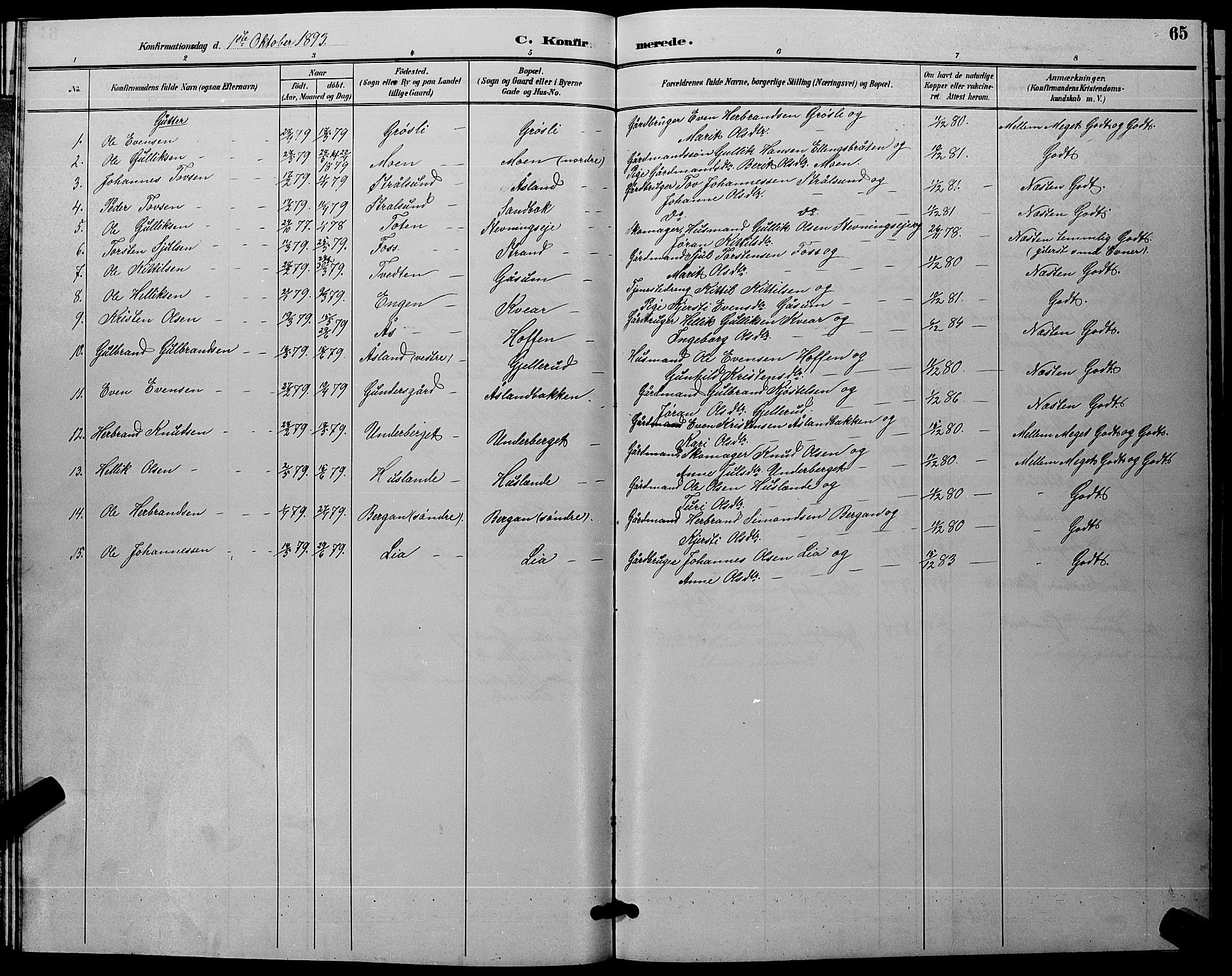 Flesberg kirkebøker, AV/SAKO-A-18/G/Ga/L0004: Klokkerbok nr. I 4 /1, 1890-1898, s. 65