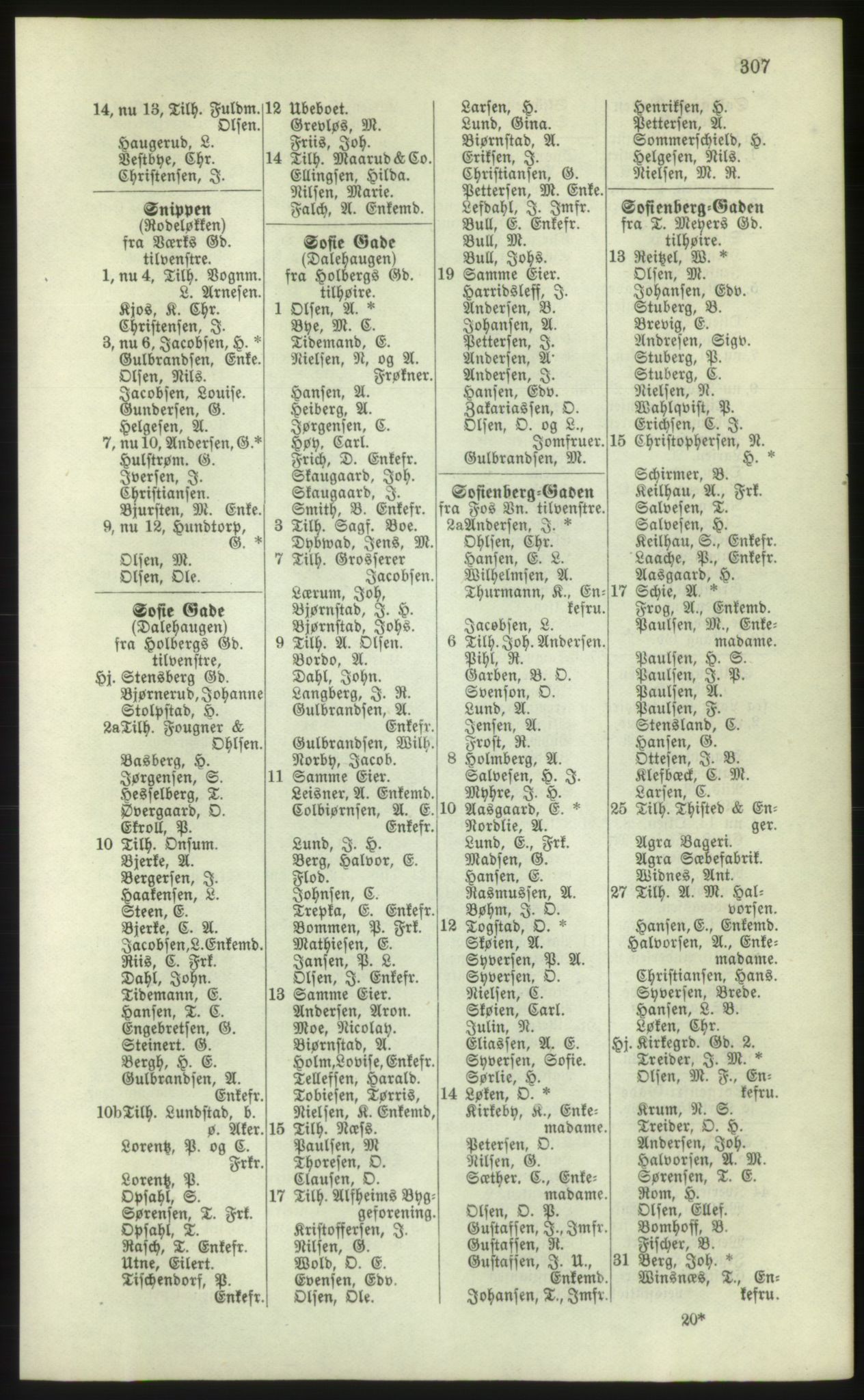 Kristiania/Oslo adressebok, PUBL/-, 1881, s. 307