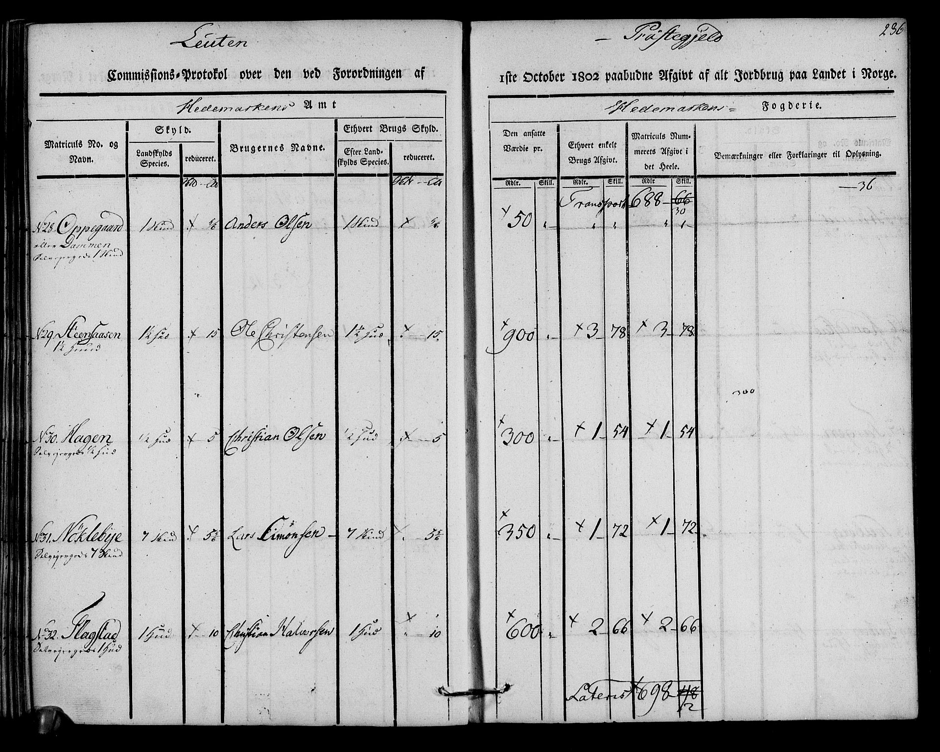 Rentekammeret inntil 1814, Realistisk ordnet avdeling, AV/RA-EA-4070/N/Ne/Nea/L0033: Hedmark fogderi. Kommisjonsprotokoll, 1803, s. 238