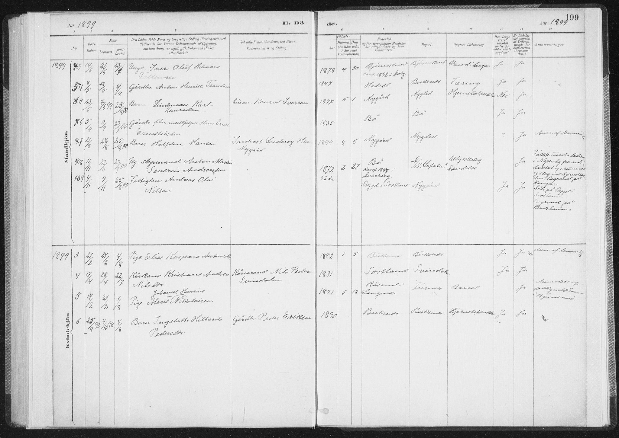 Ministerialprotokoller, klokkerbøker og fødselsregistre - Nordland, AV/SAT-A-1459/898/L1422: Ministerialbok nr. 898A02, 1887-1908, s. 199