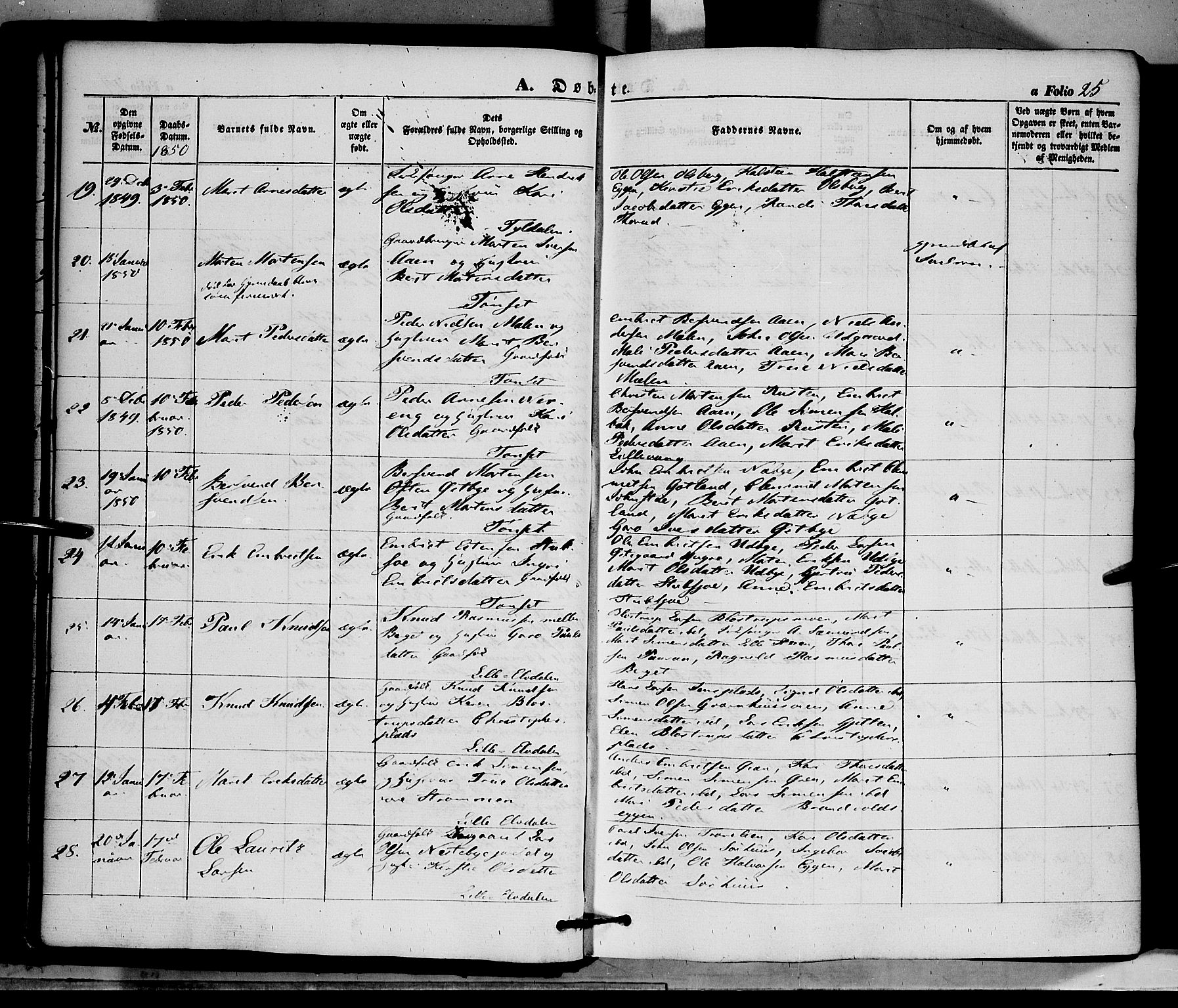 Tynset prestekontor, AV/SAH-PREST-058/H/Ha/Haa/L0020: Ministerialbok nr. 20, 1848-1862, s. 25