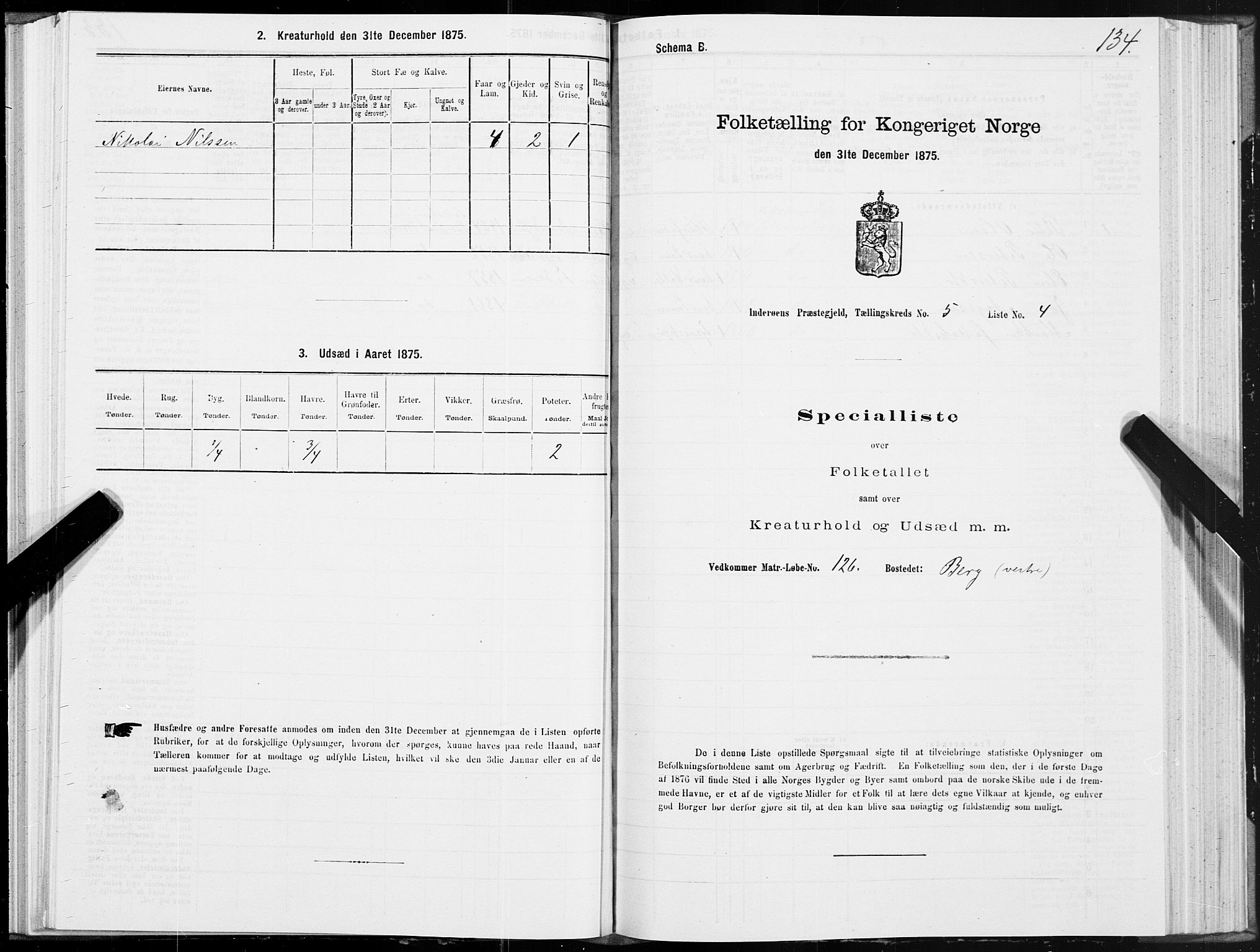 SAT, Folketelling 1875 for 1729P Inderøy prestegjeld, 1875, s. 3134