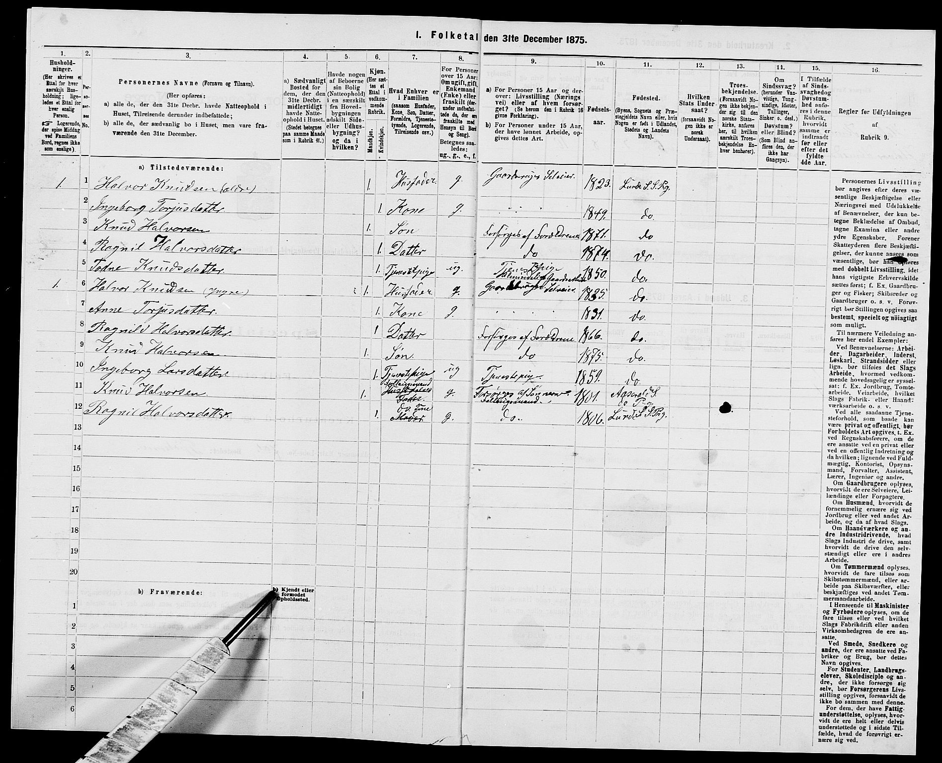 SAK, Folketelling 1875 for 1046P Sirdal prestegjeld, 1875, s. 480