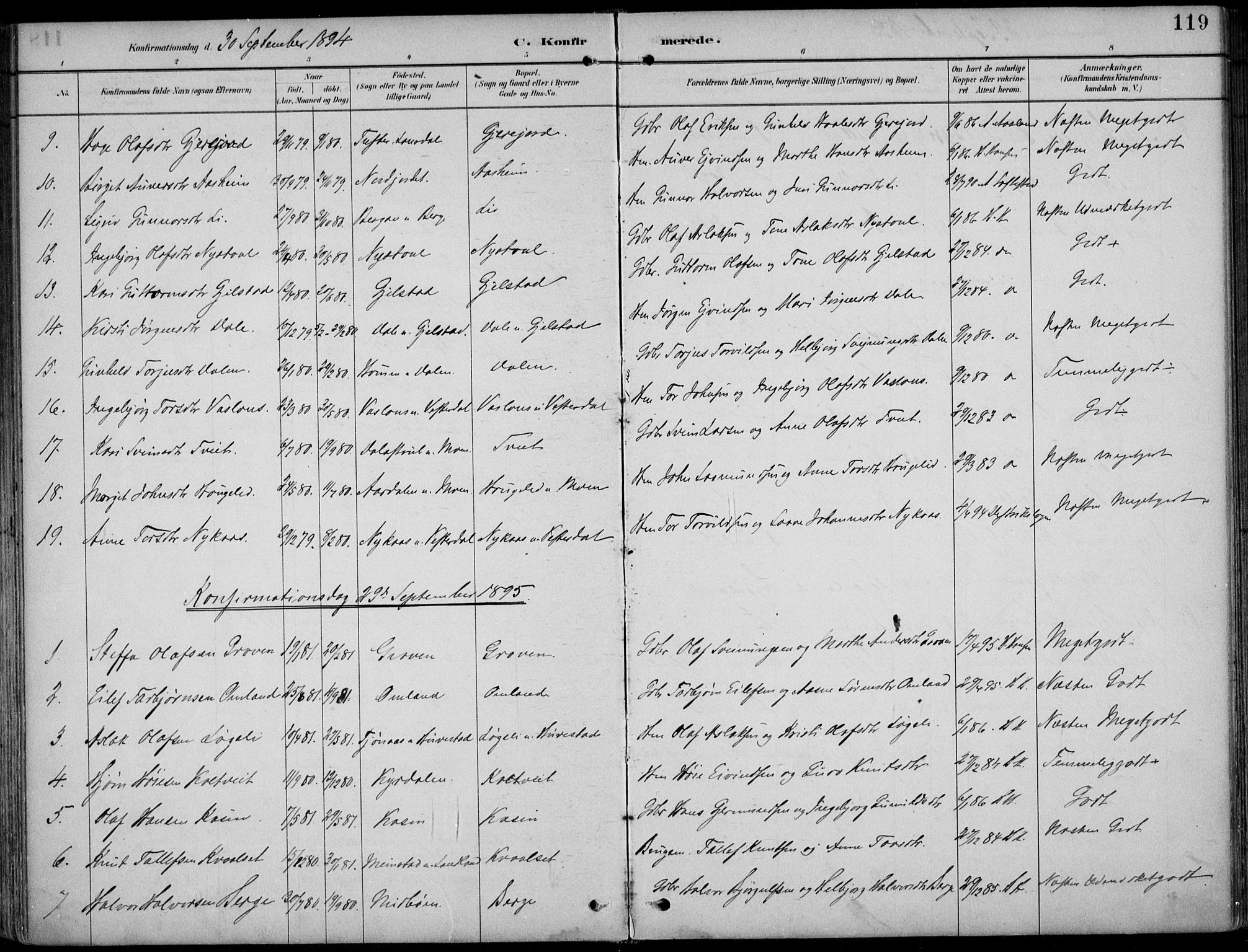 Kviteseid kirkebøker, AV/SAKO-A-276/F/Fb/L0002: Ministerialbok nr. II 2, 1882-1916, s. 119