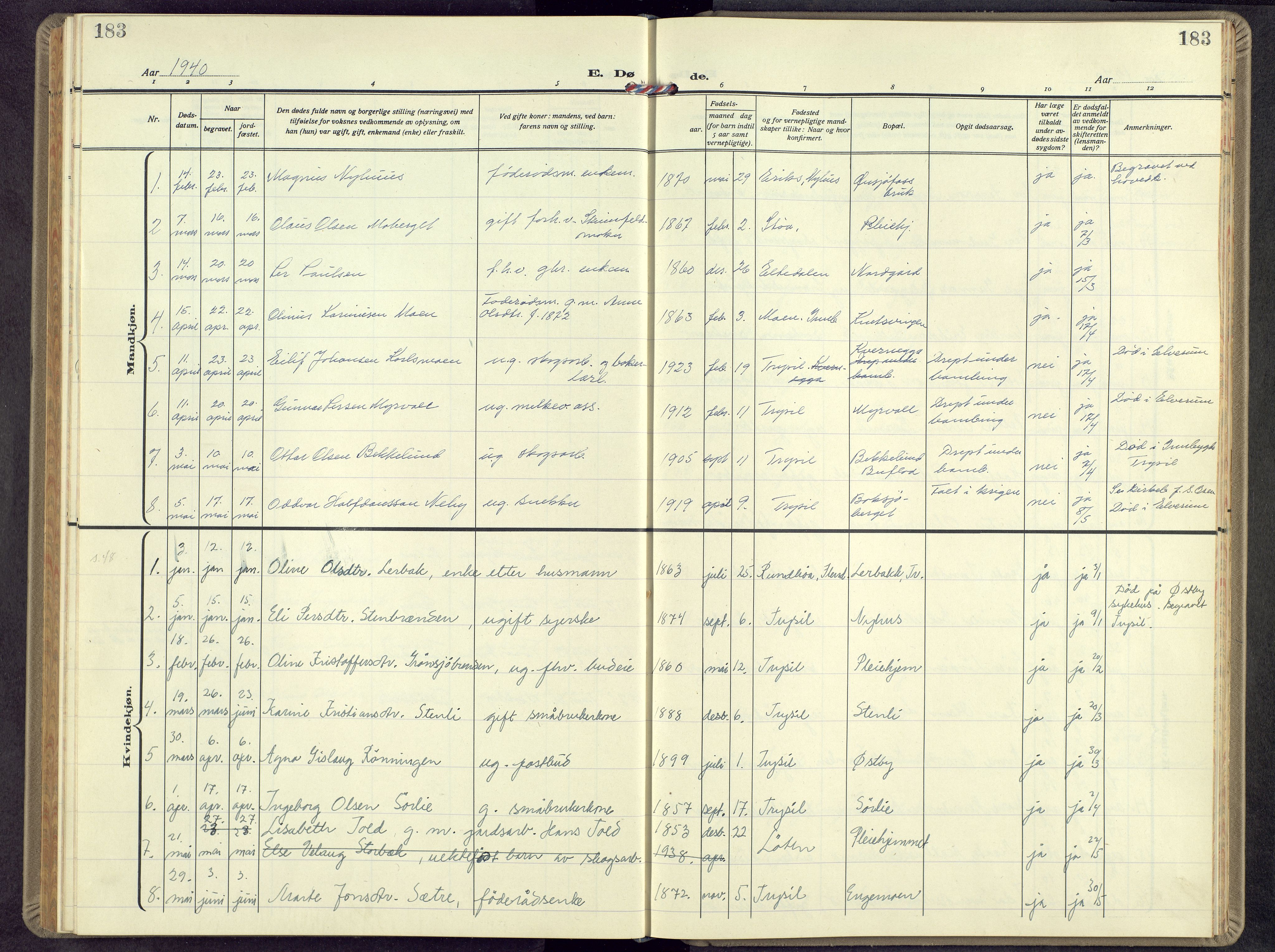 Trysil prestekontor, SAH/PREST-046/H/Ha/Hab/L0012: Klokkerbok nr. 12, 1938-1959, s. 183