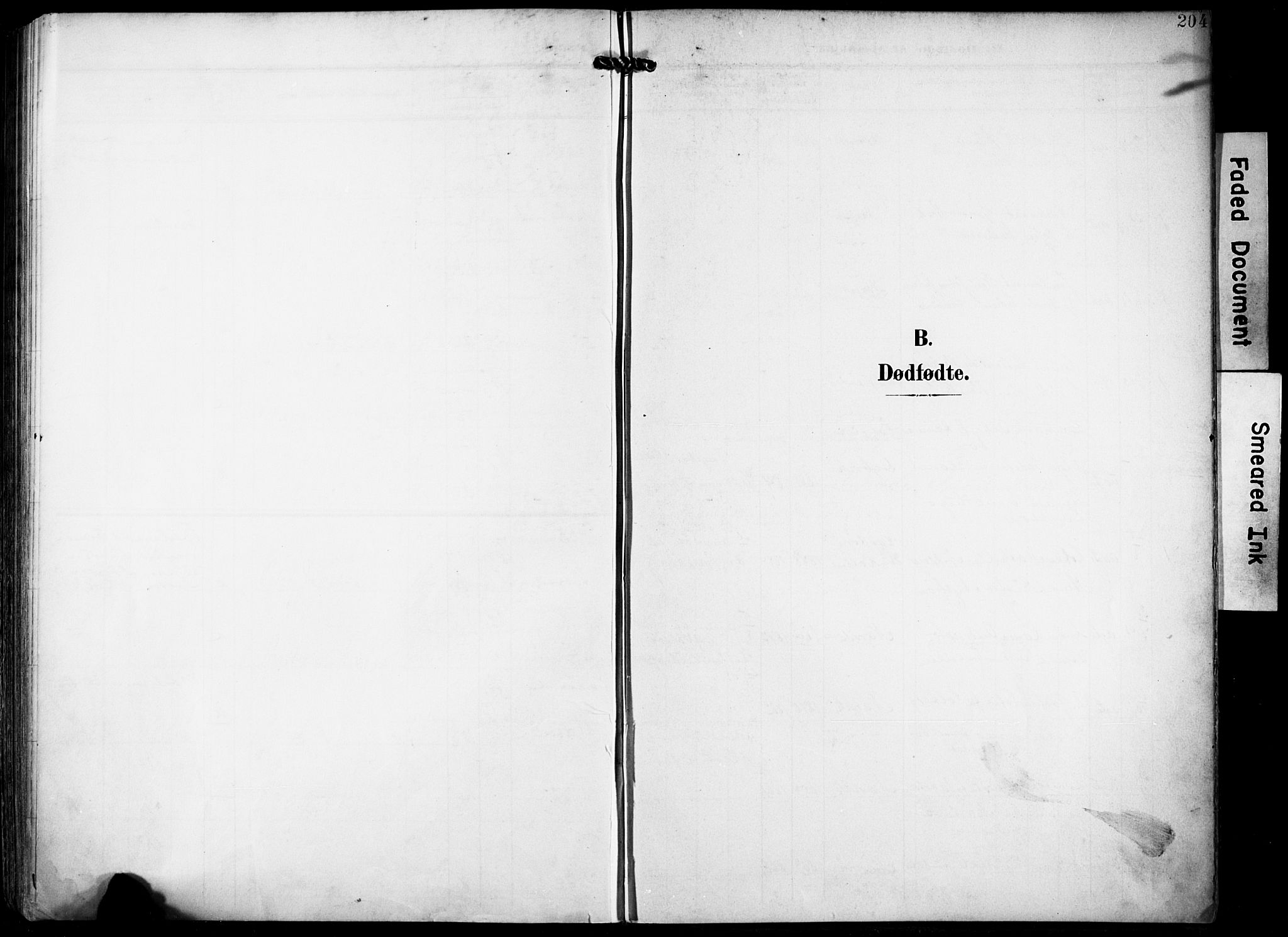Ministerialprotokoller, klokkerbøker og fødselsregistre - Nordland, AV/SAT-A-1459/871/L0994: Ministerialbok nr. 871A10, 1902-1910, s. 204