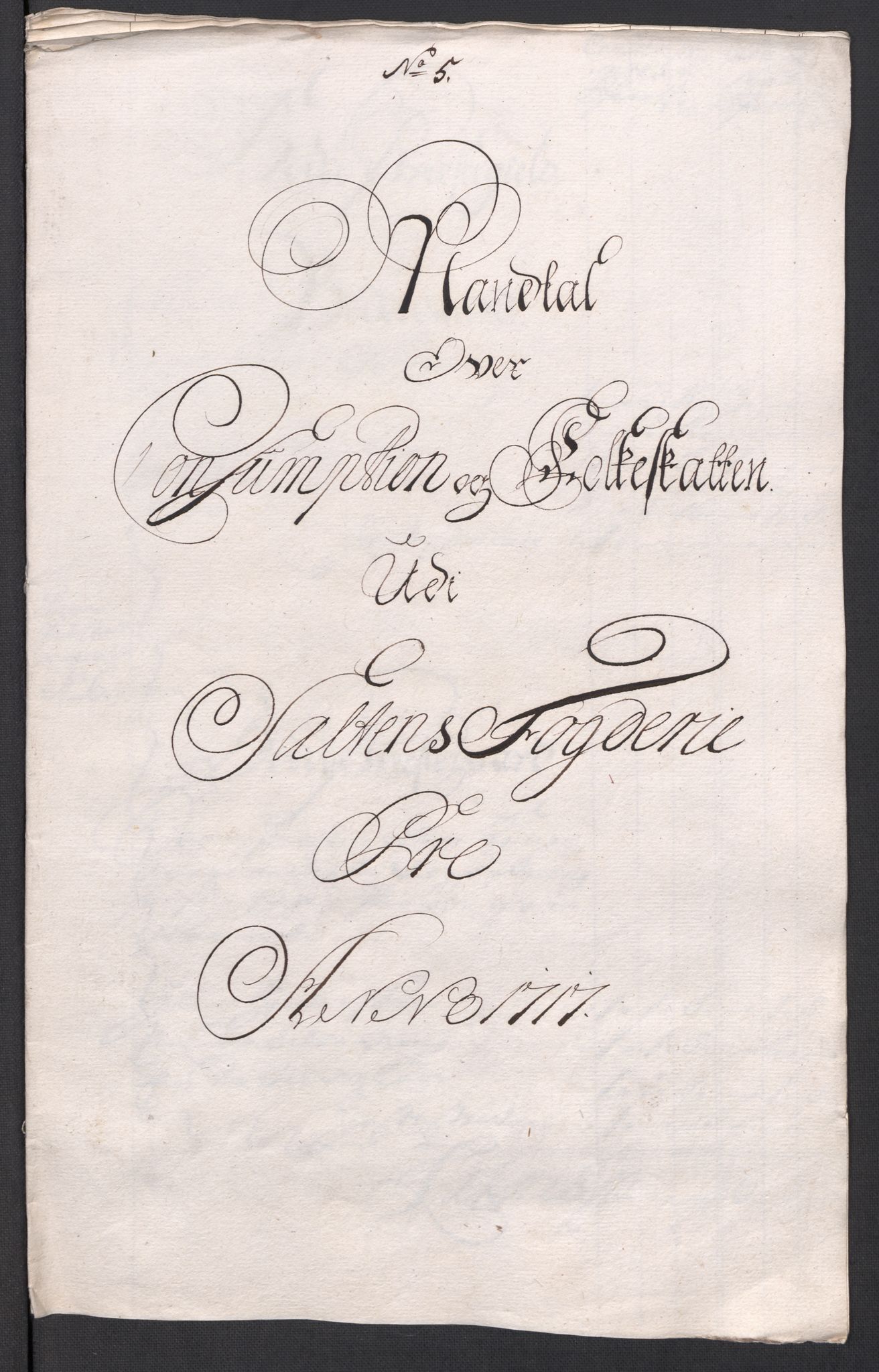 Rentekammeret inntil 1814, Reviderte regnskaper, Fogderegnskap, RA/EA-4092/R66/L4587: Fogderegnskap Salten, 1717, s. 93