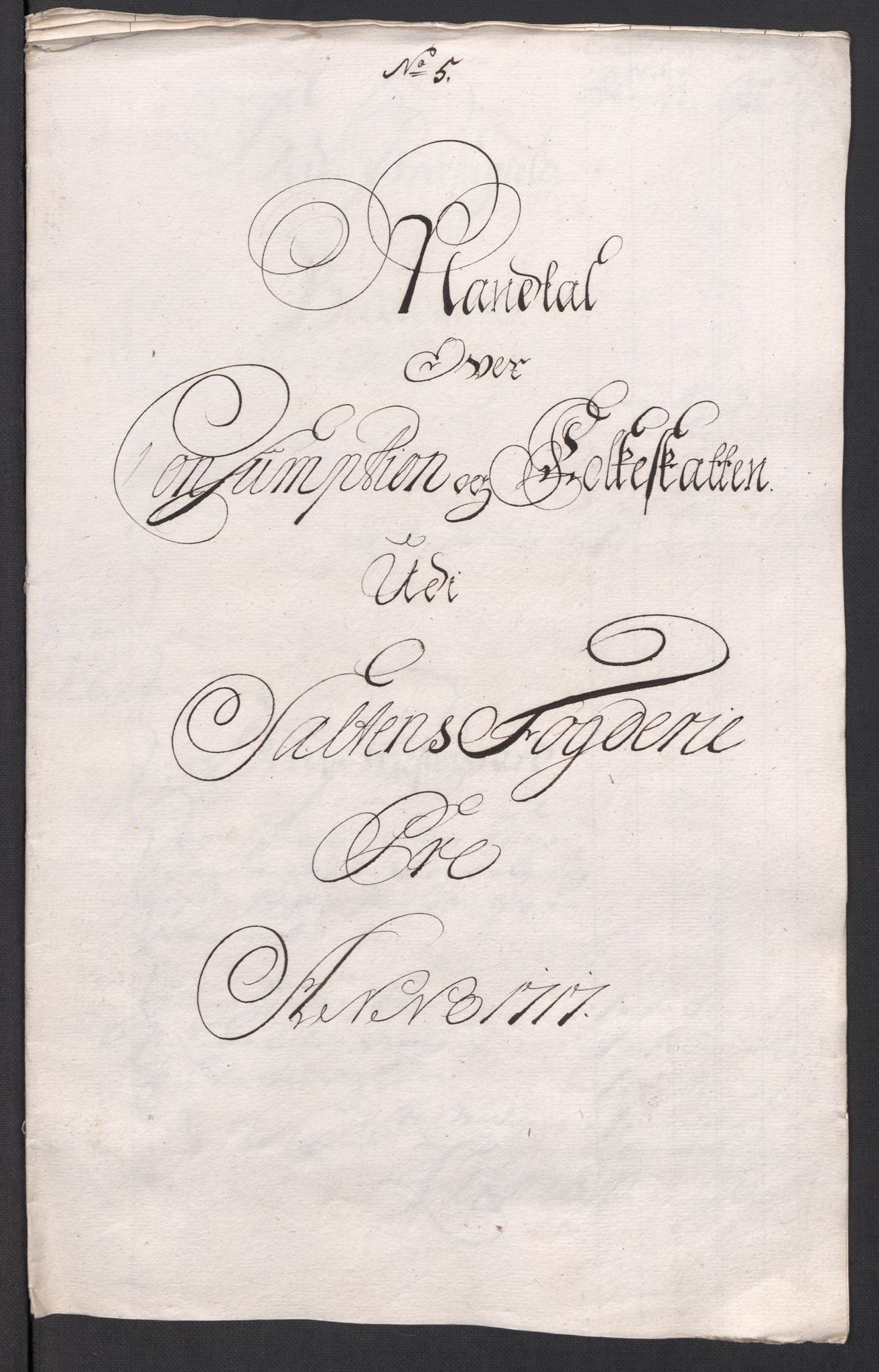 Rentekammeret inntil 1814, Reviderte regnskaper, Fogderegnskap, AV/RA-EA-4092/R66/L4587: Fogderegnskap Salten, 1717, s. 93