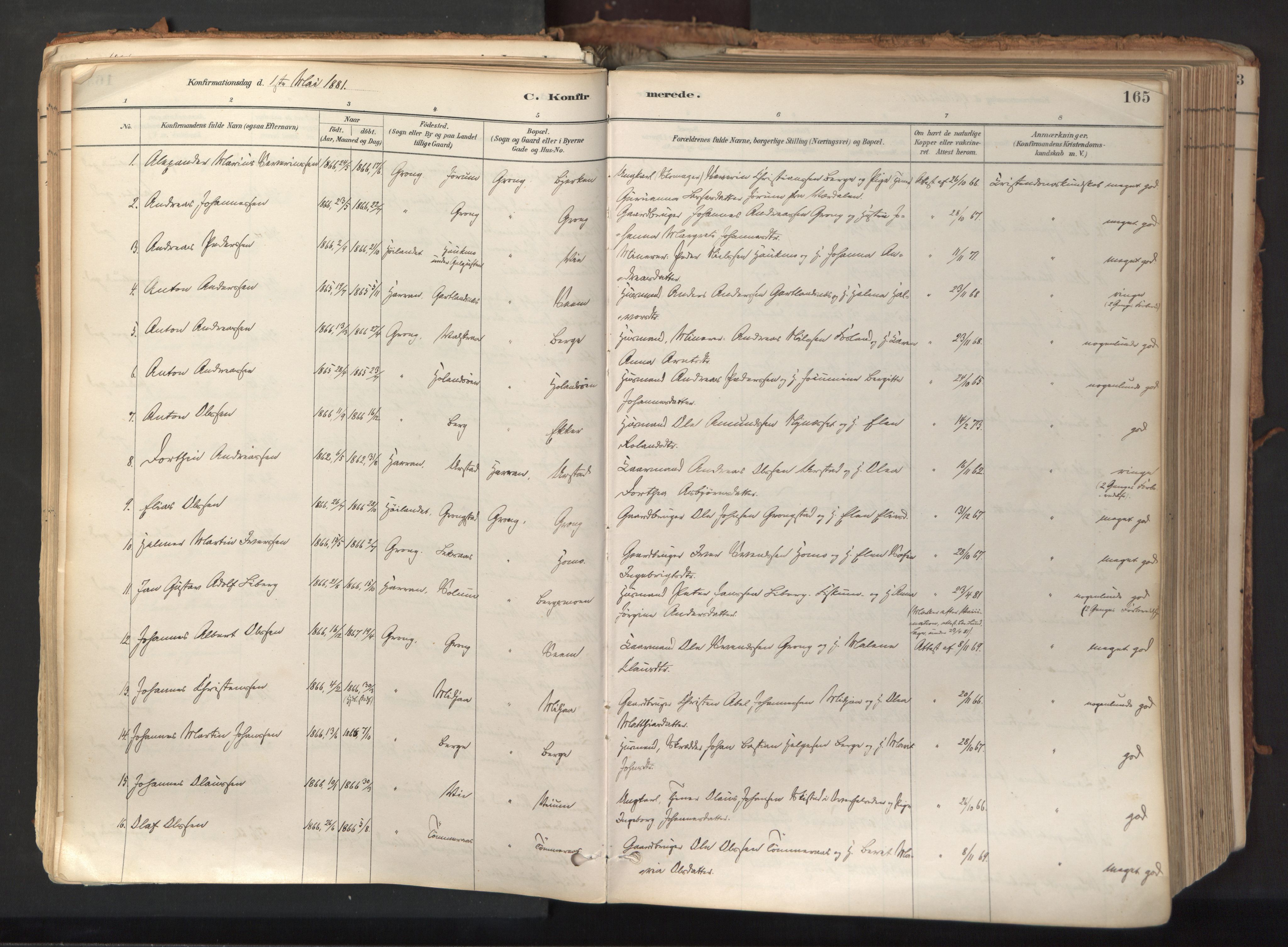 Ministerialprotokoller, klokkerbøker og fødselsregistre - Nord-Trøndelag, AV/SAT-A-1458/758/L0519: Ministerialbok nr. 758A04, 1880-1926, s. 165