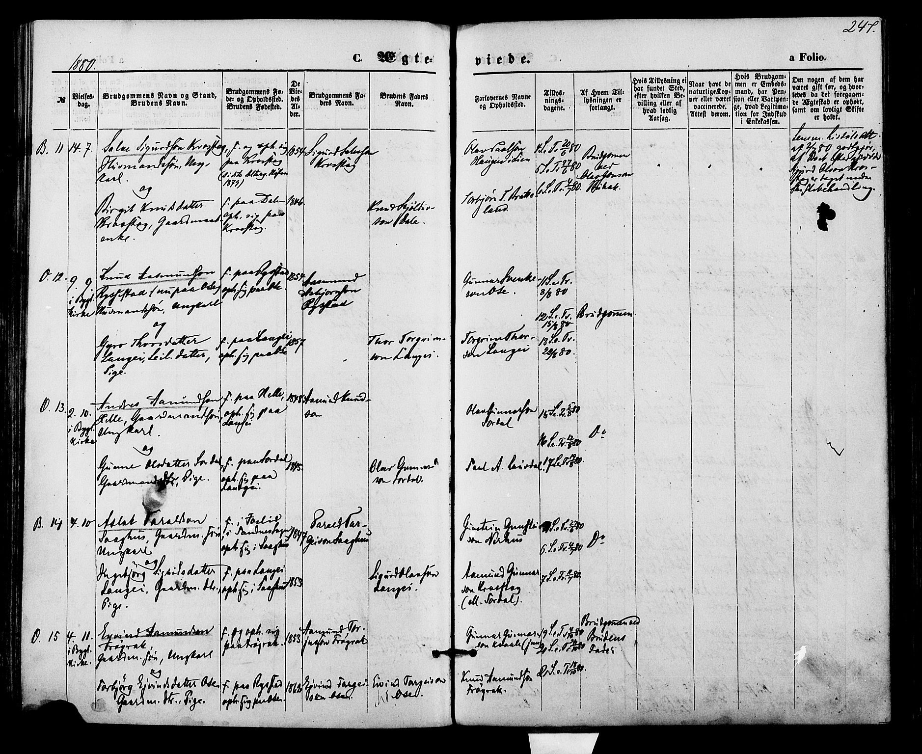 Bygland sokneprestkontor, AV/SAK-1111-0006/F/Fa/Fab/L0006: Ministerialbok nr. A 6, 1873-1884, s. 247