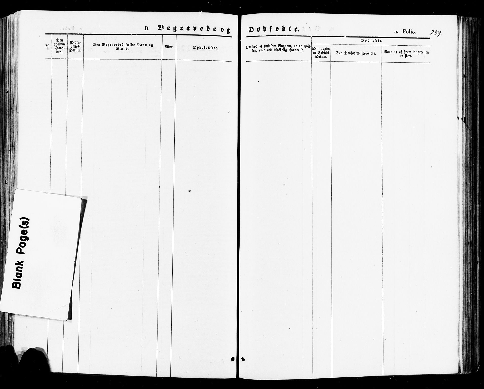 Sirdal sokneprestkontor, SAK/1111-0036/F/Fa/Fab/L0003: Ministerialbok nr. A 3, 1874-1886, s. 289