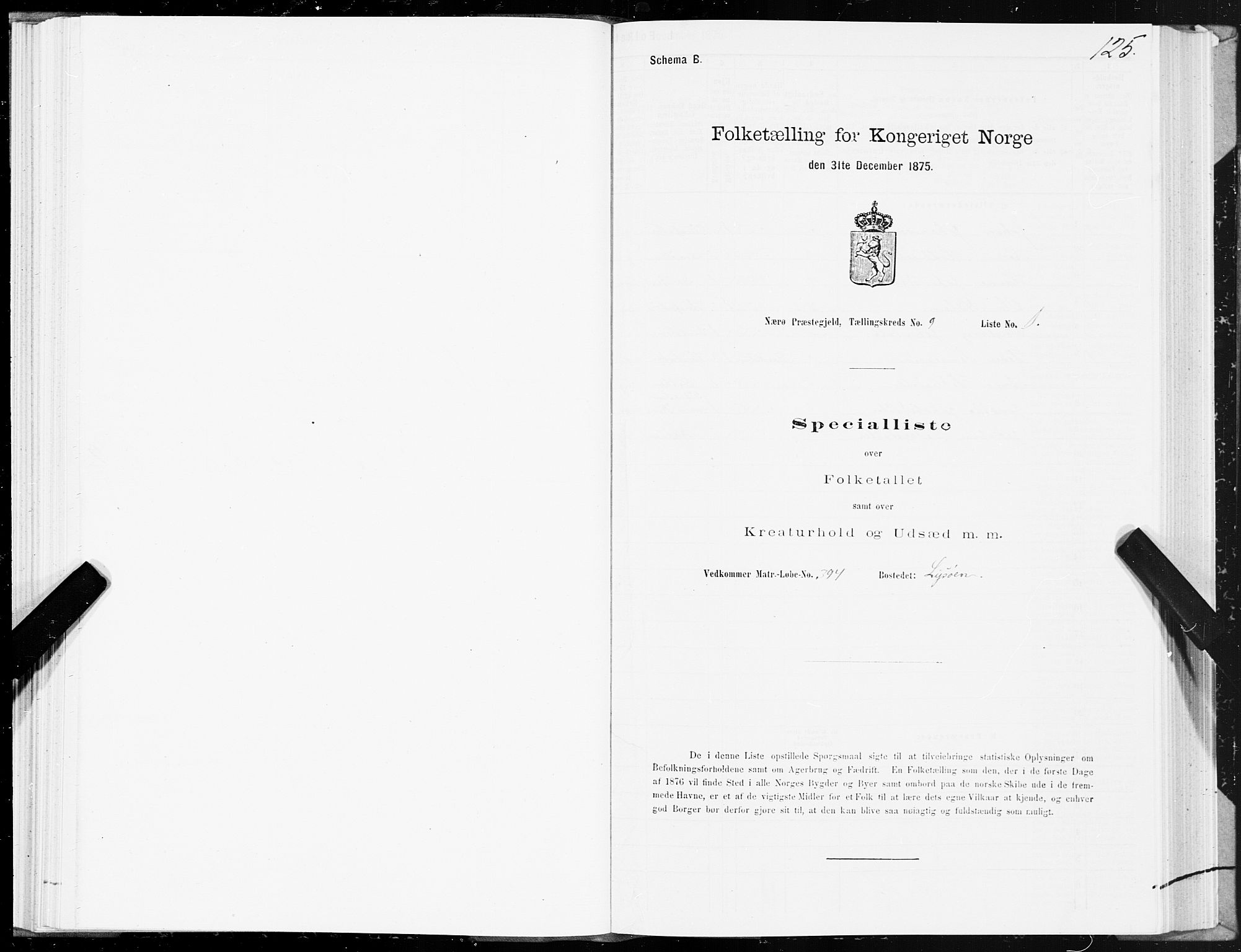 SAT, Folketelling 1875 for 1751P Nærøy prestegjeld, 1875, s. 4125