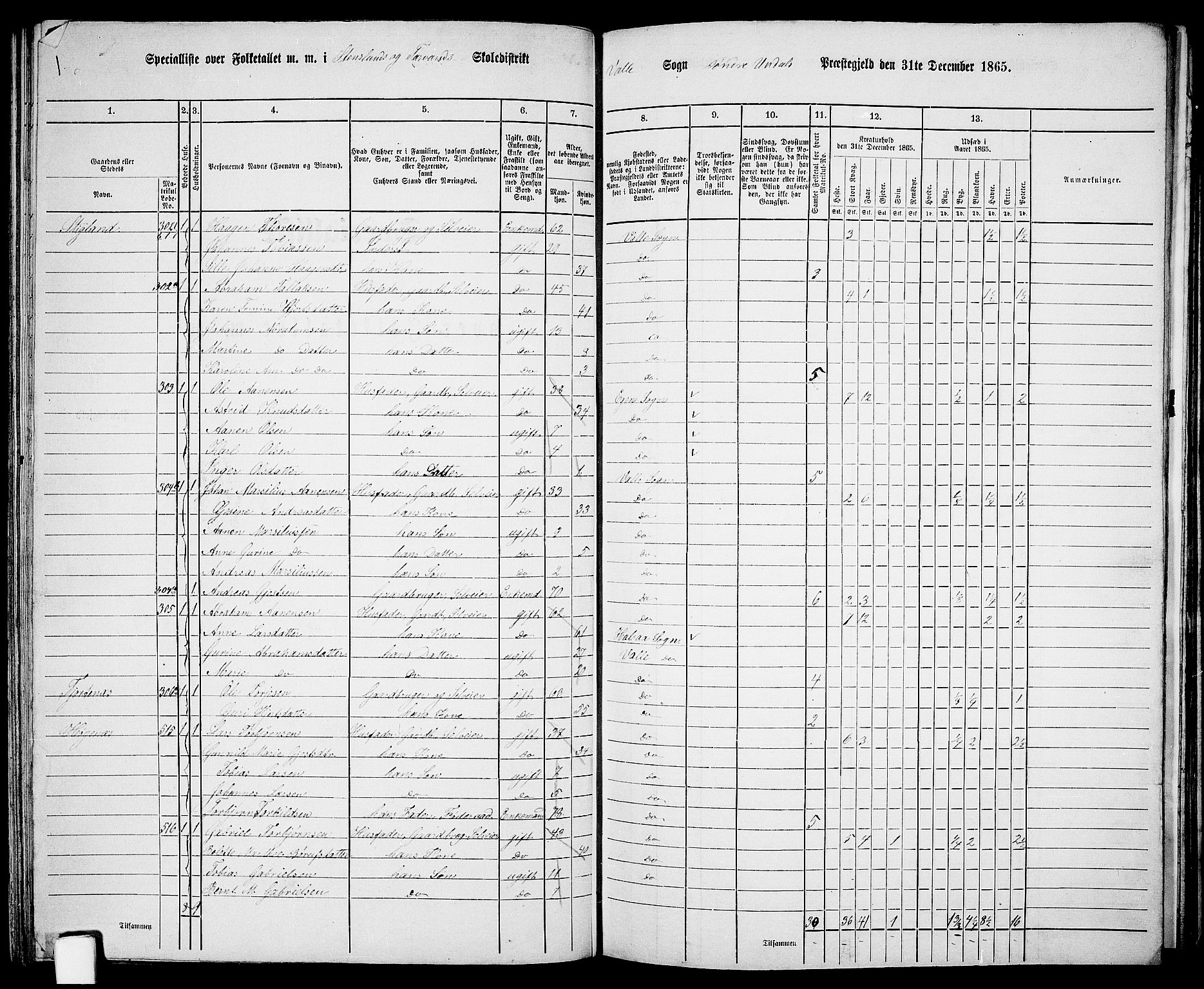 RA, Folketelling 1865 for 1029P Sør-Audnedal prestegjeld, 1865, s. 104