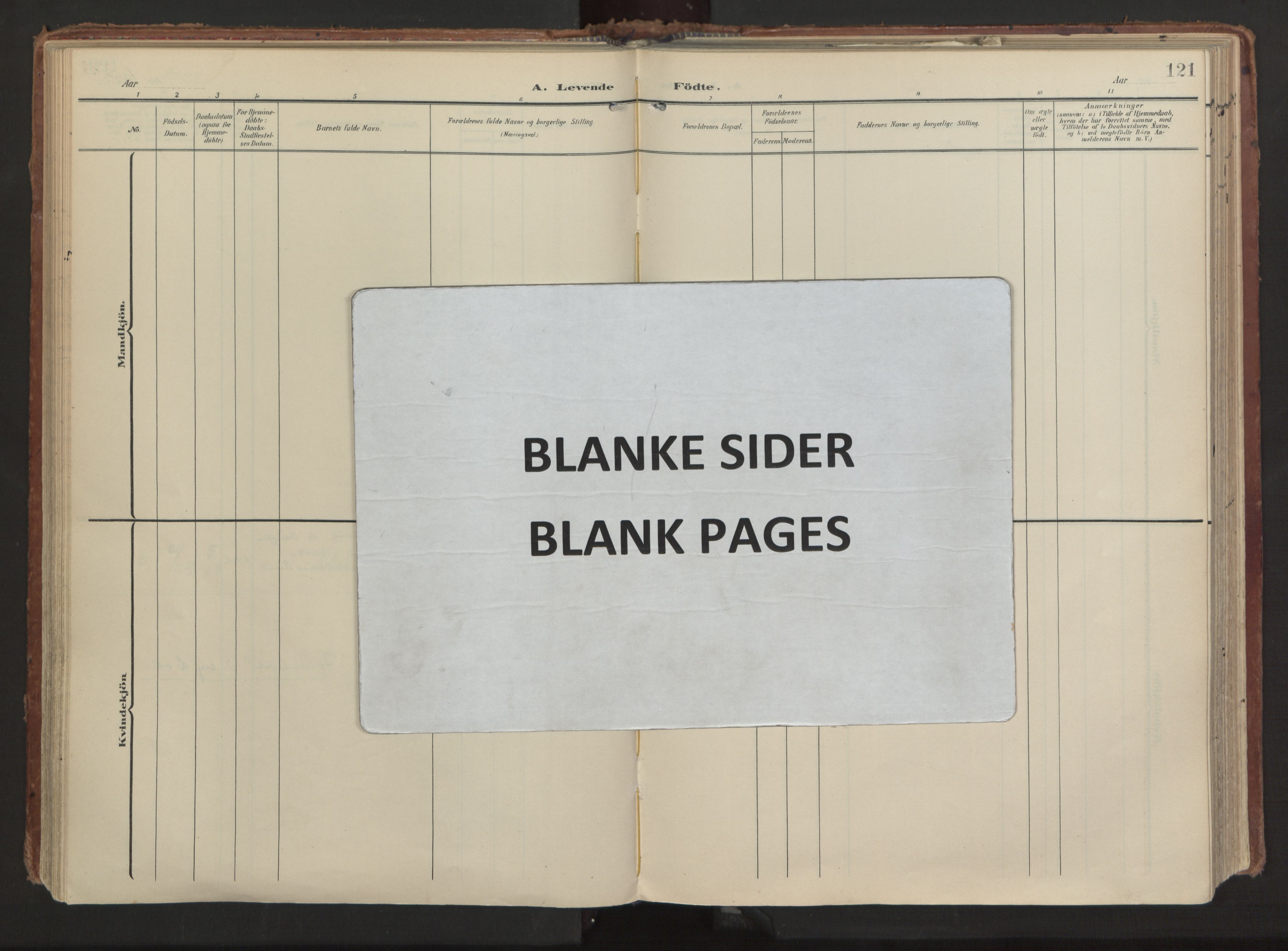 Ministerialprotokoller, klokkerbøker og fødselsregistre - Møre og Romsdal, SAT/A-1454/511/L0144: Ministerialbok nr. 511A11, 1906-1923, s. 121