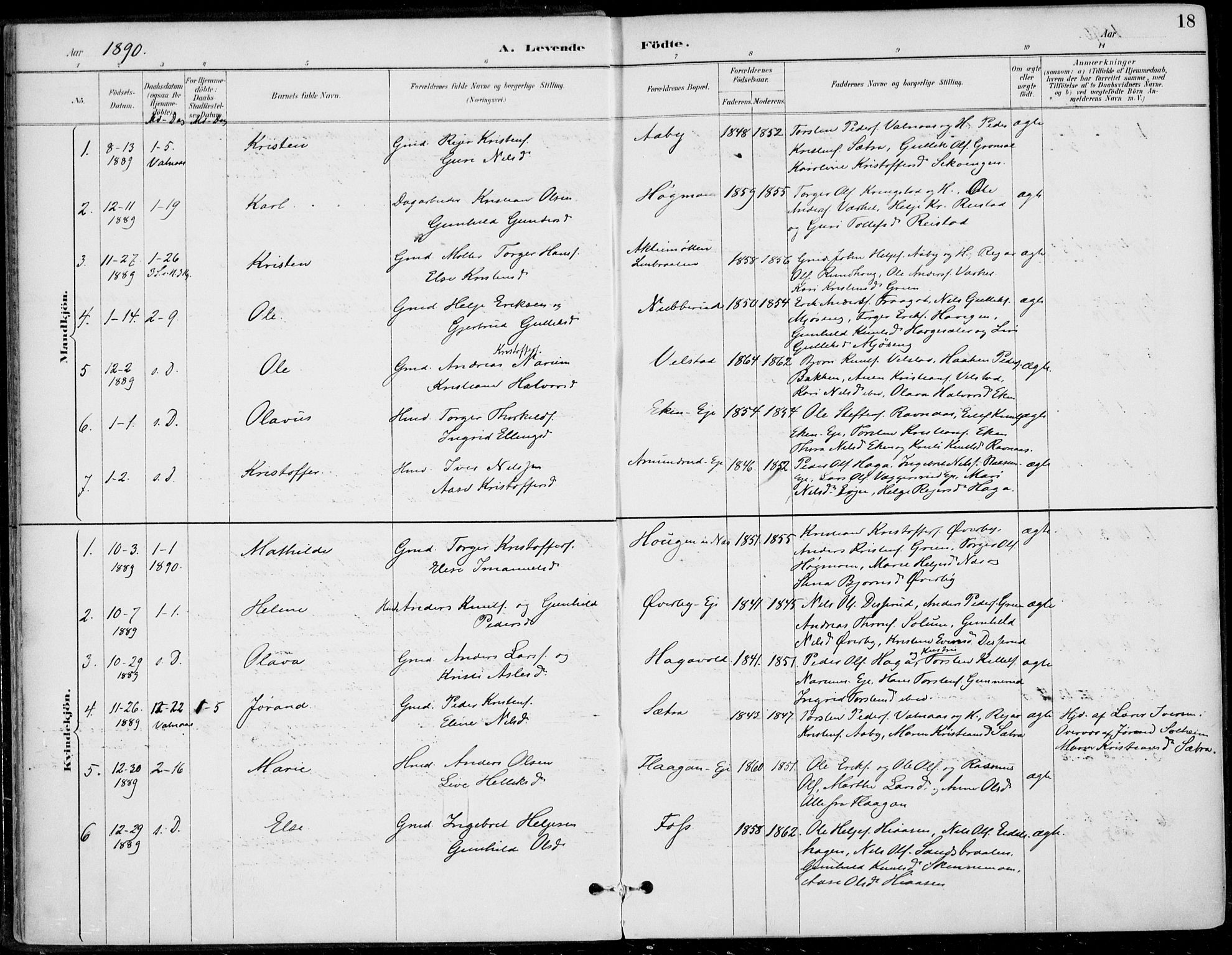 Sigdal kirkebøker, AV/SAKO-A-245/F/Fb/L0001: Ministerialbok nr. II 1, 1888-1900, s. 18