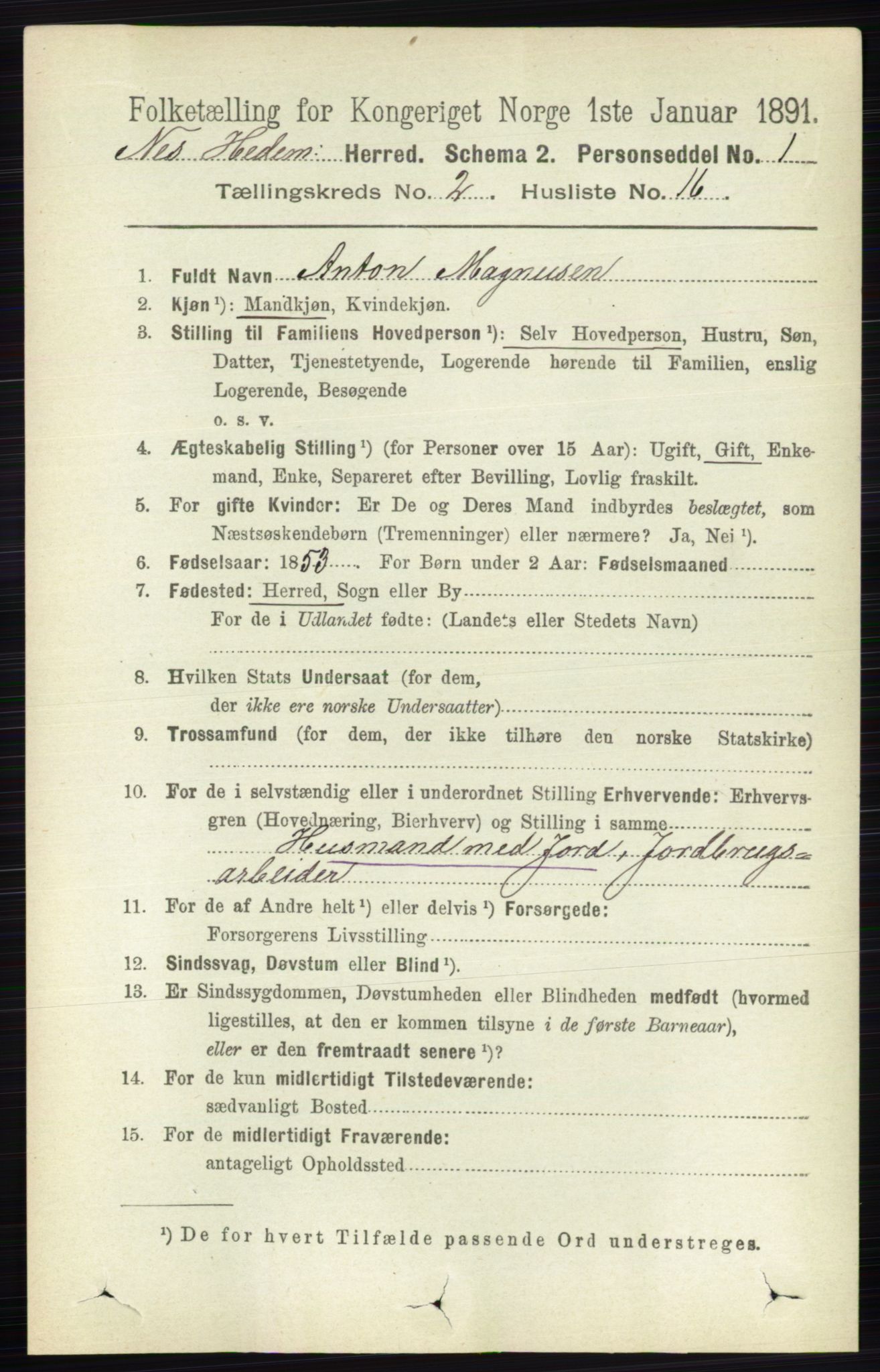 RA, Folketelling 1891 for 0411 Nes herred, 1891, s. 1166