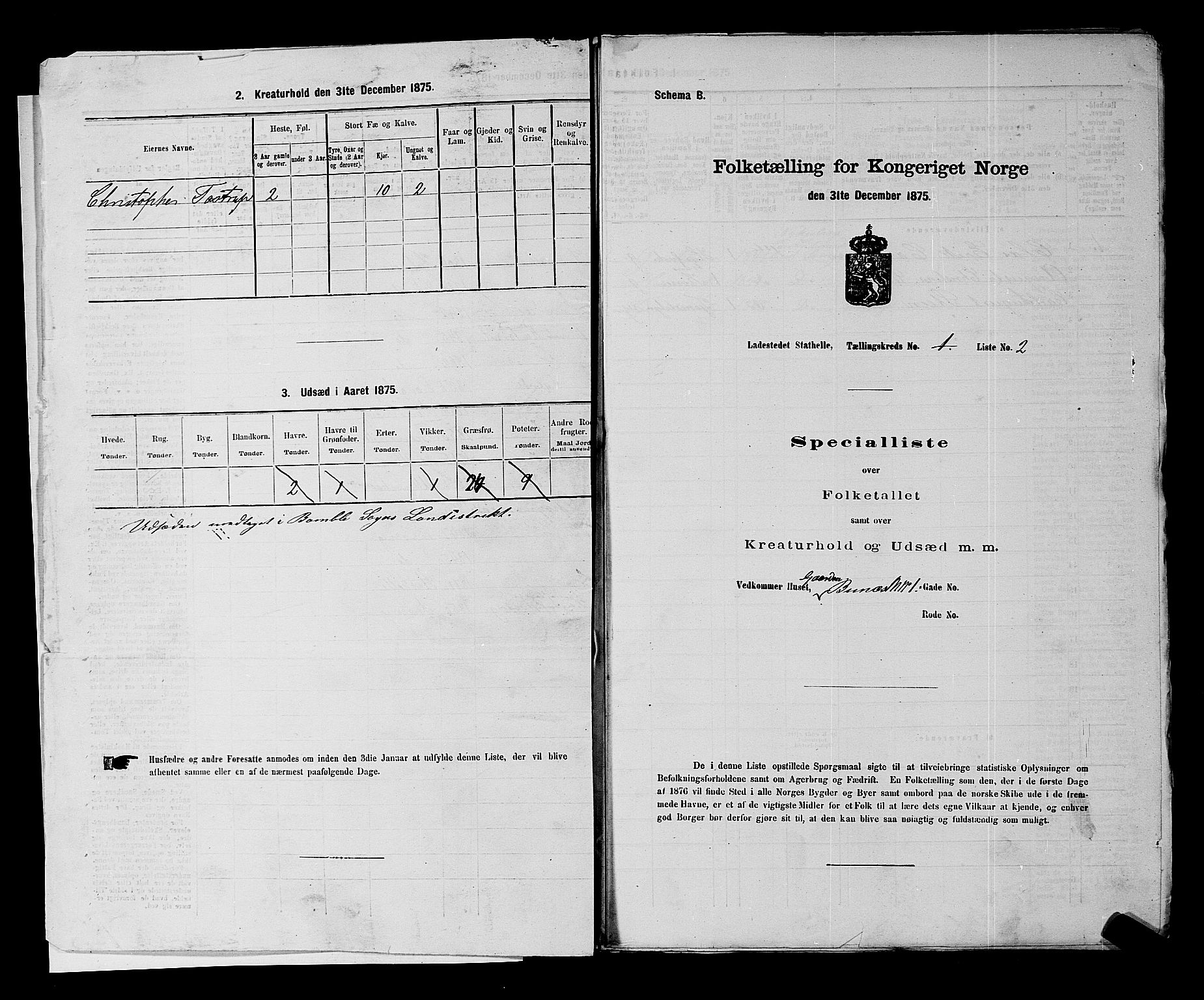 SAKO, Folketelling 1875 for 0803B Bamble prestegjeld, Stathelle ladested, 1875, s. 10