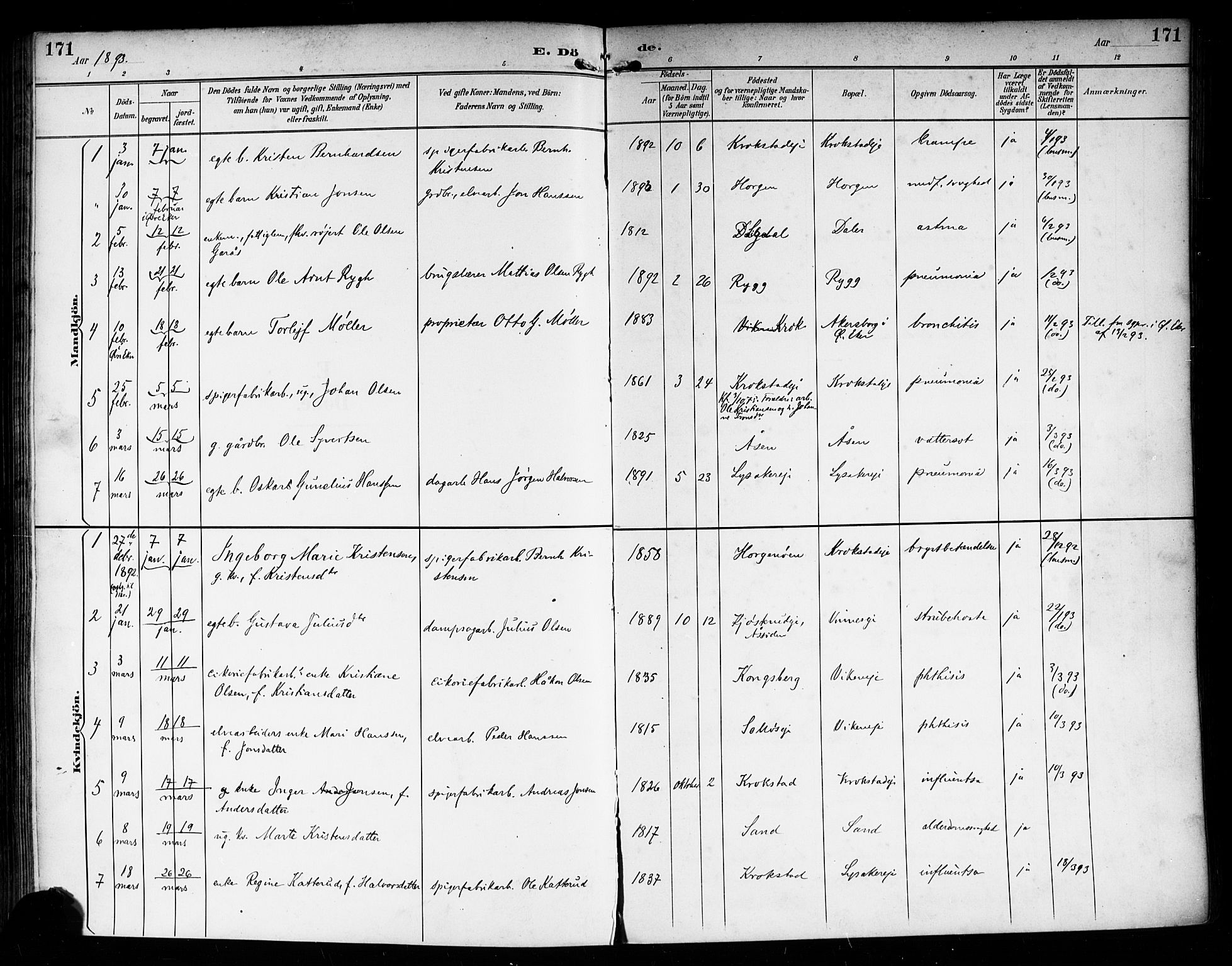 Nedre Eiker kirkebøker, AV/SAKO-A-612/F/Fa/L0004: Ministerialbok nr. 4, 1893-1898, s. 171