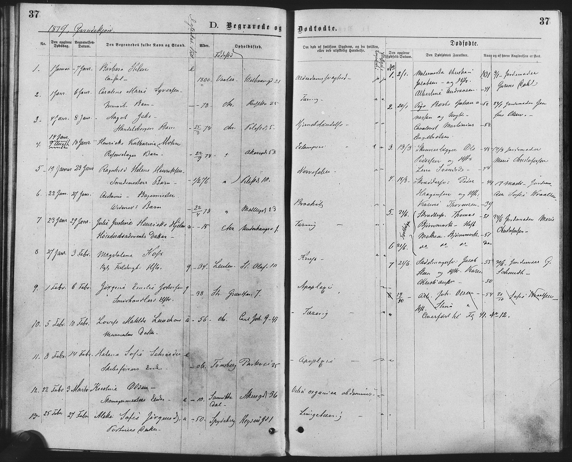 Trefoldighet prestekontor Kirkebøker, AV/SAO-A-10882/F/Fd/L0002: Ministerialbok nr. IV 2, 1877-1885, s. 37