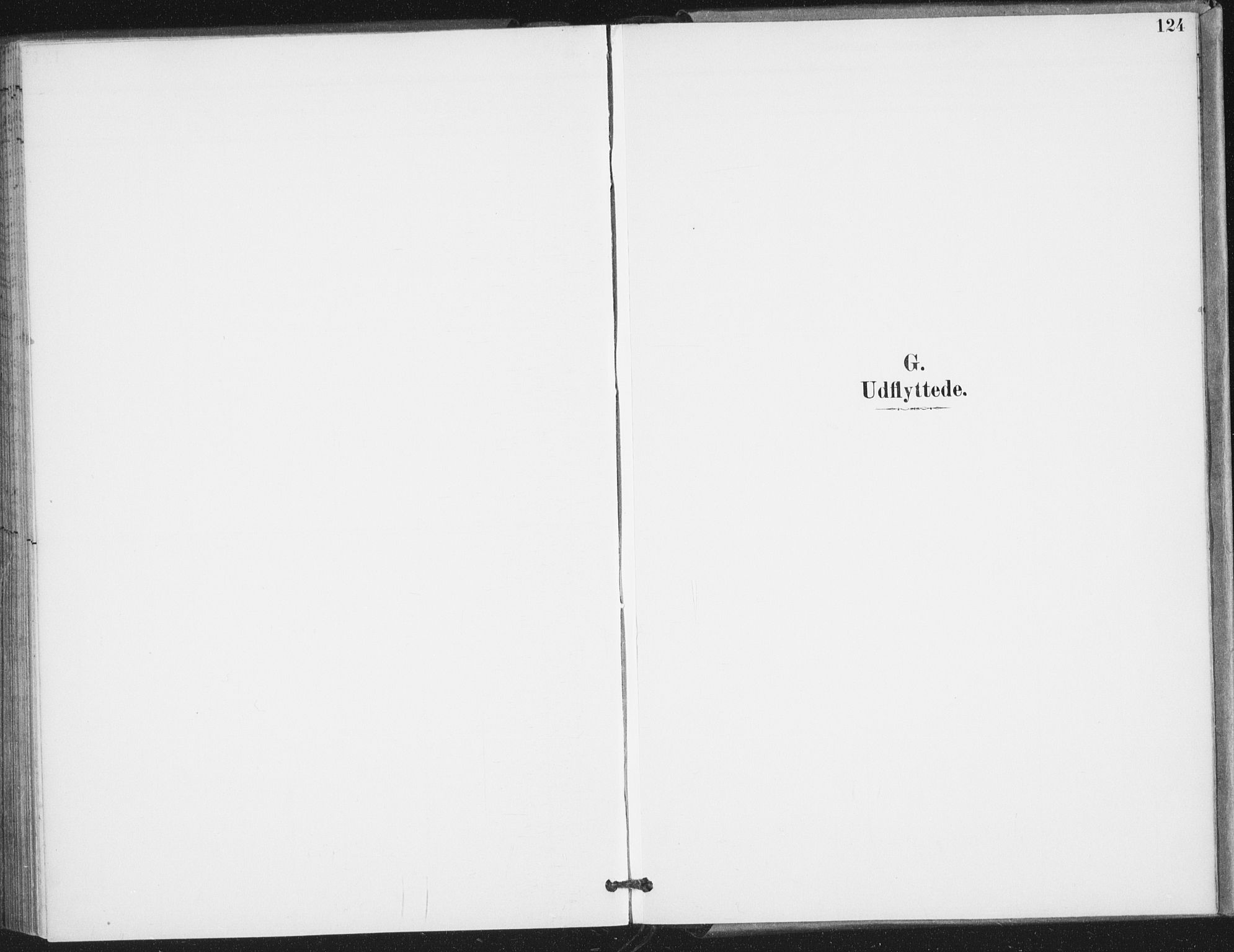 Ministerialprotokoller, klokkerbøker og fødselsregistre - Nordland, AV/SAT-A-1459/826/L0380: Ministerialbok nr. 826A03, 1891-1911, s. 124
