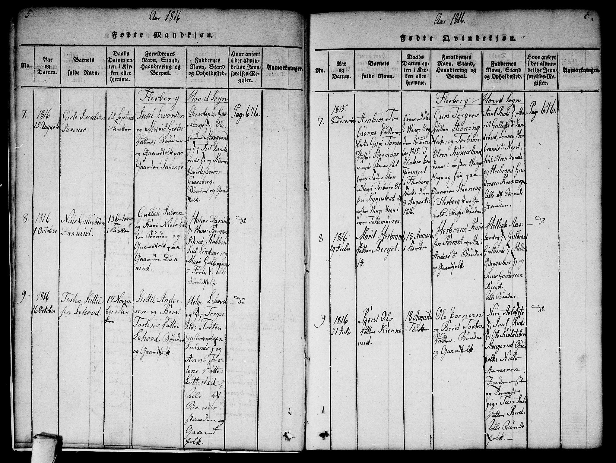 Flesberg kirkebøker, AV/SAKO-A-18/G/Ga/L0001: Klokkerbok nr. I 1, 1816-1834, s. 5-6