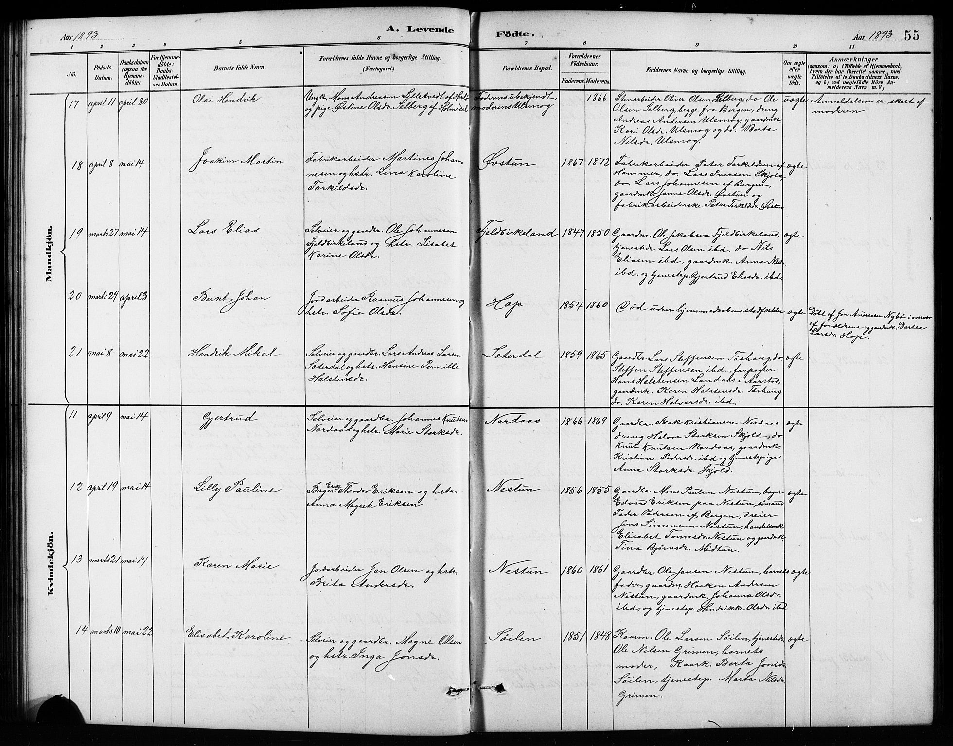 Birkeland Sokneprestembete, AV/SAB-A-74601/H/Hab: Klokkerbok nr. A 4, 1888-1897, s. 55