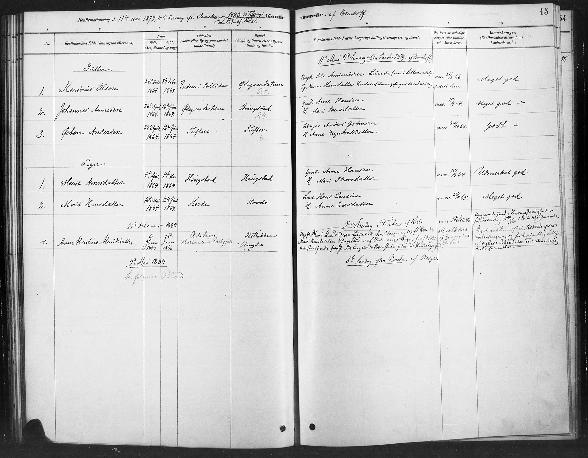 Ringebu prestekontor, AV/SAH-PREST-082/H/Ha/Haa/L0010: Ministerialbok nr. 10, 1878-1898, s. 45