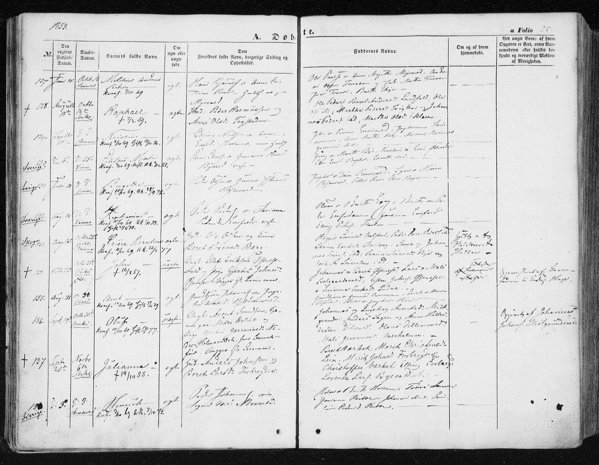 Ministerialprotokoller, klokkerbøker og fødselsregistre - Nord-Trøndelag, AV/SAT-A-1458/723/L0240: Ministerialbok nr. 723A09, 1852-1860, s. 25