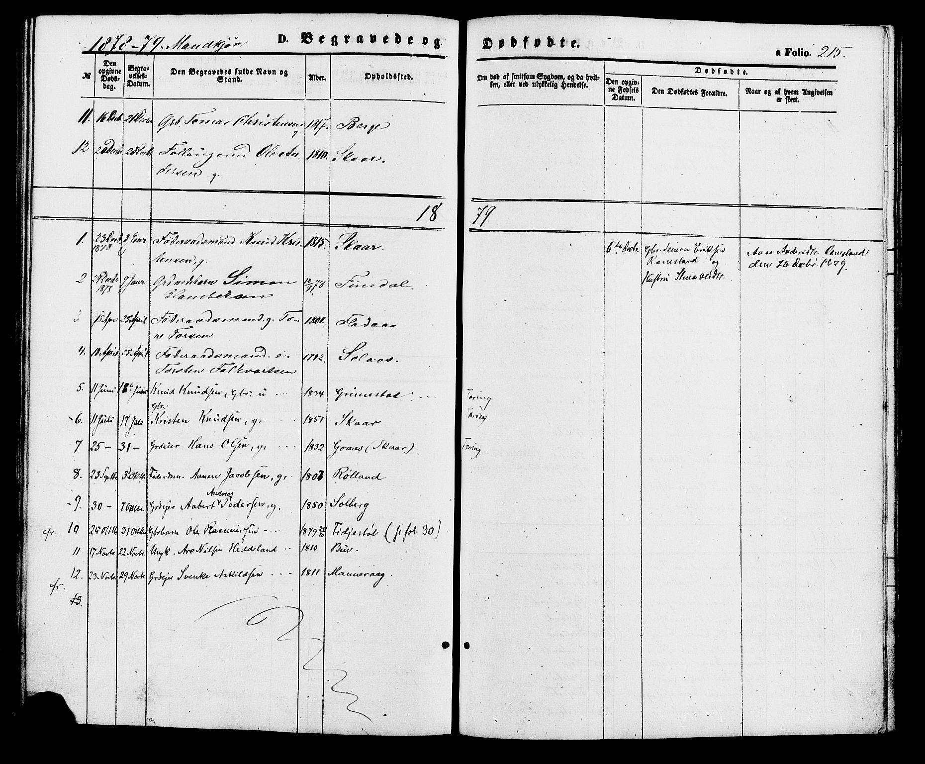 Holum sokneprestkontor, AV/SAK-1111-0022/F/Fa/Fac/L0003: Ministerialbok nr. A 3, 1860-1883, s. 215