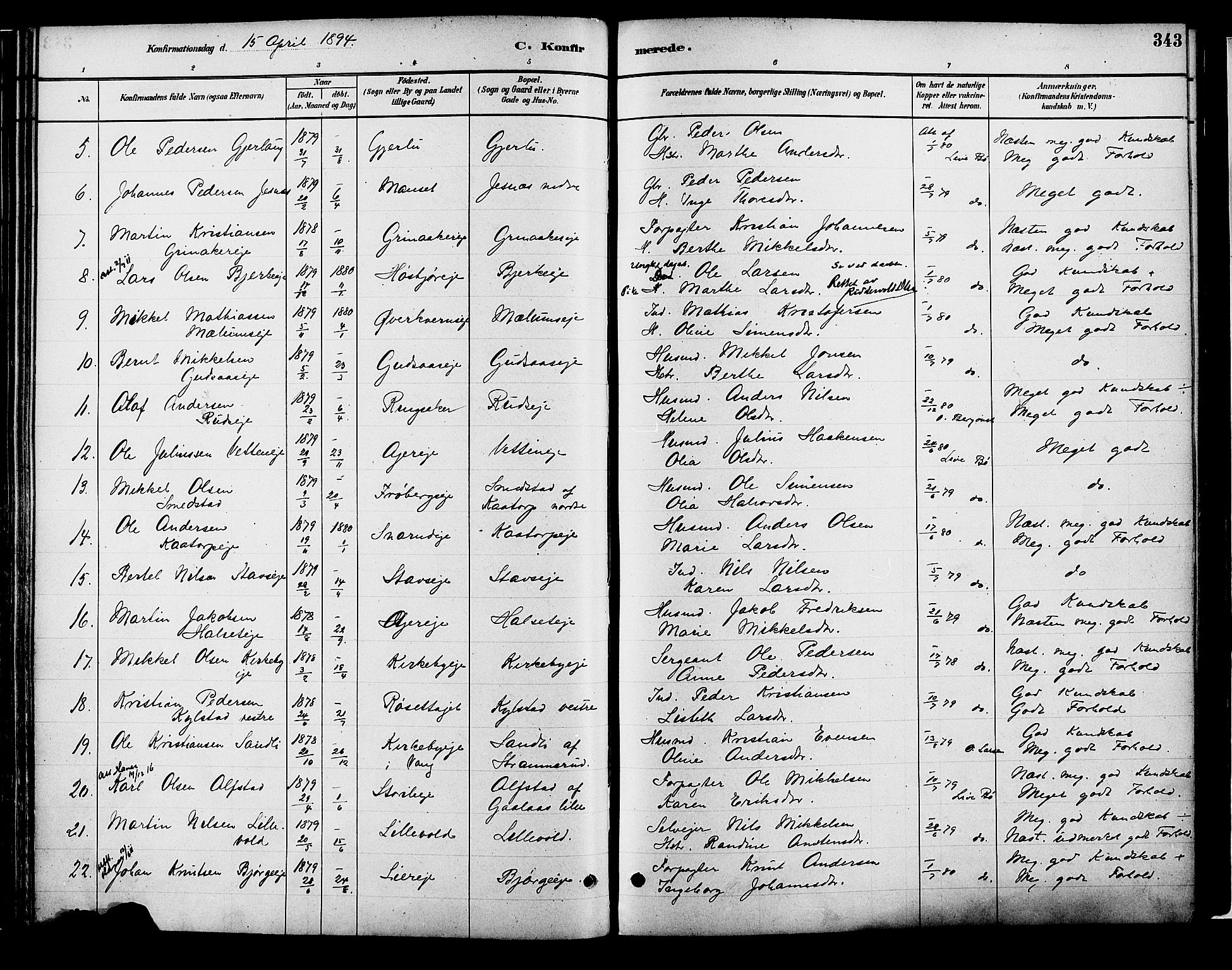 Vang prestekontor, Hedmark, AV/SAH-PREST-008/H/Ha/Haa/L0018B: Ministerialbok nr. 18B, 1880-1906, s. 343