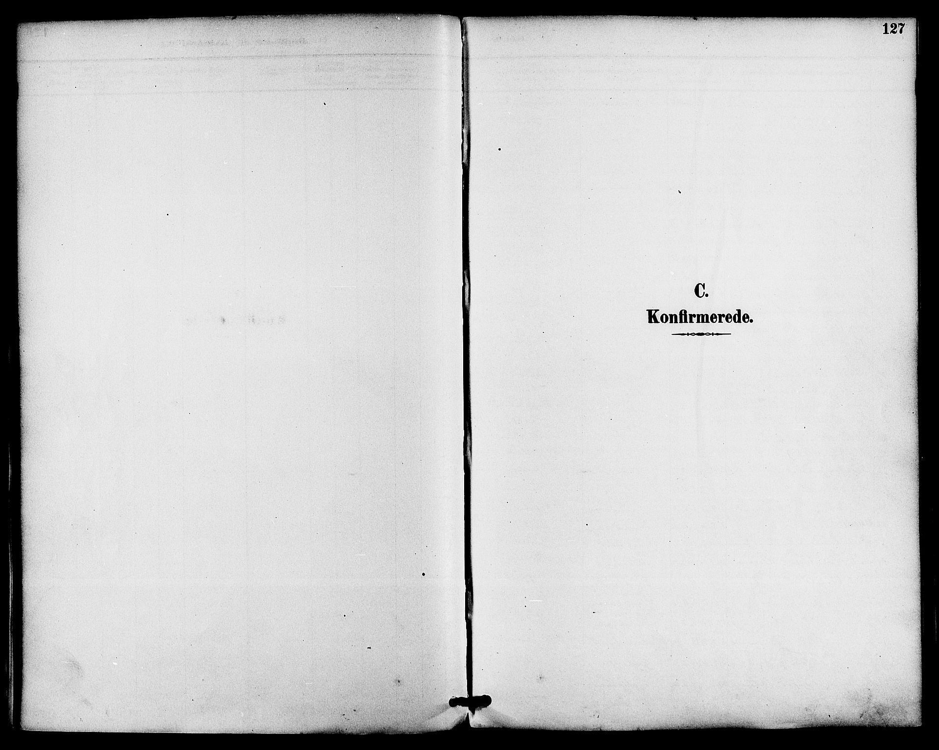 Gjerpen kirkebøker, SAKO/A-265/F/Fa/L0010: Ministerialbok nr. I 10, 1886-1895, s. 127