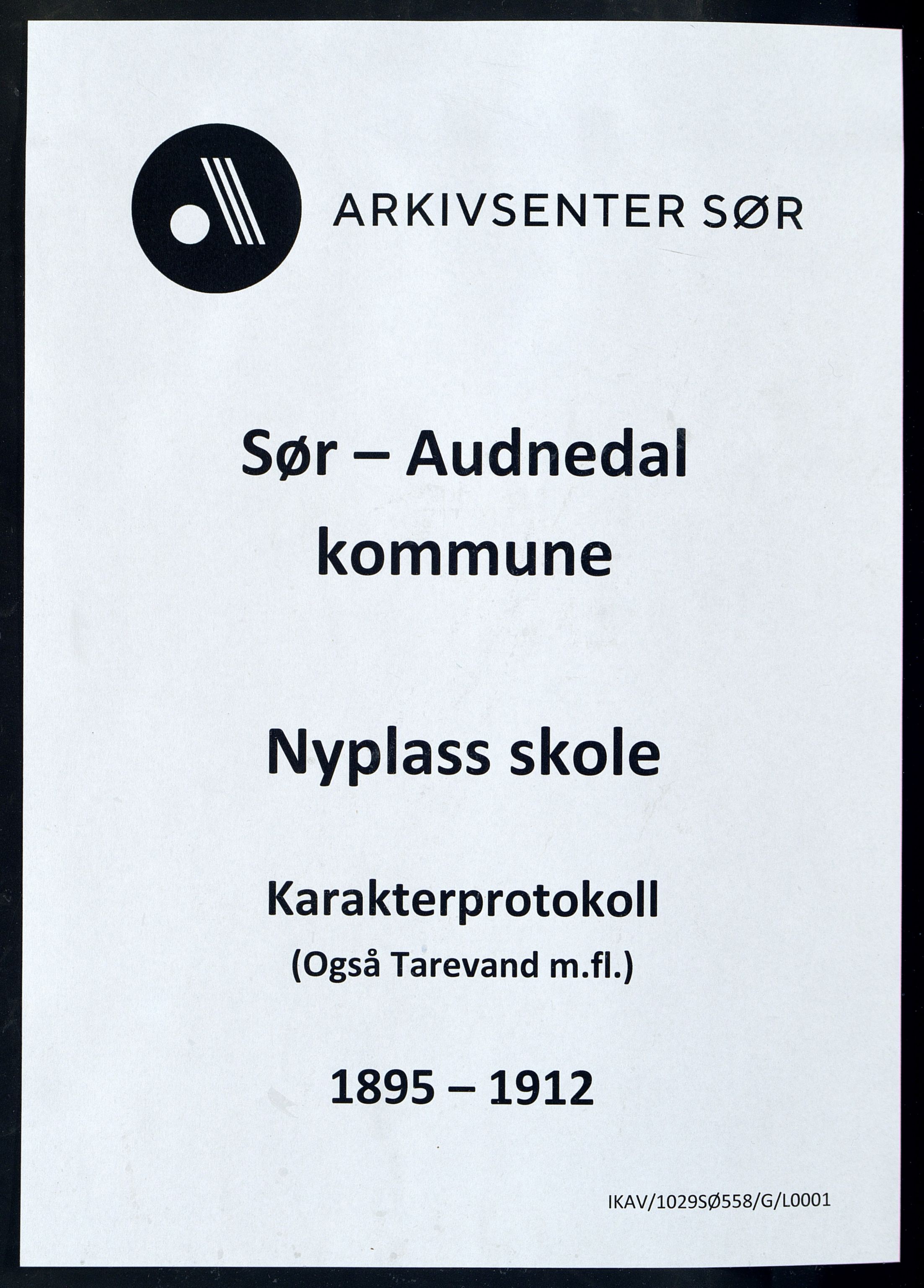 Sør-Audnedal kommune - Nyplass Skole, IKAV/1029SØ558/G/L0001: Karakterprotokoll, 1895-1912