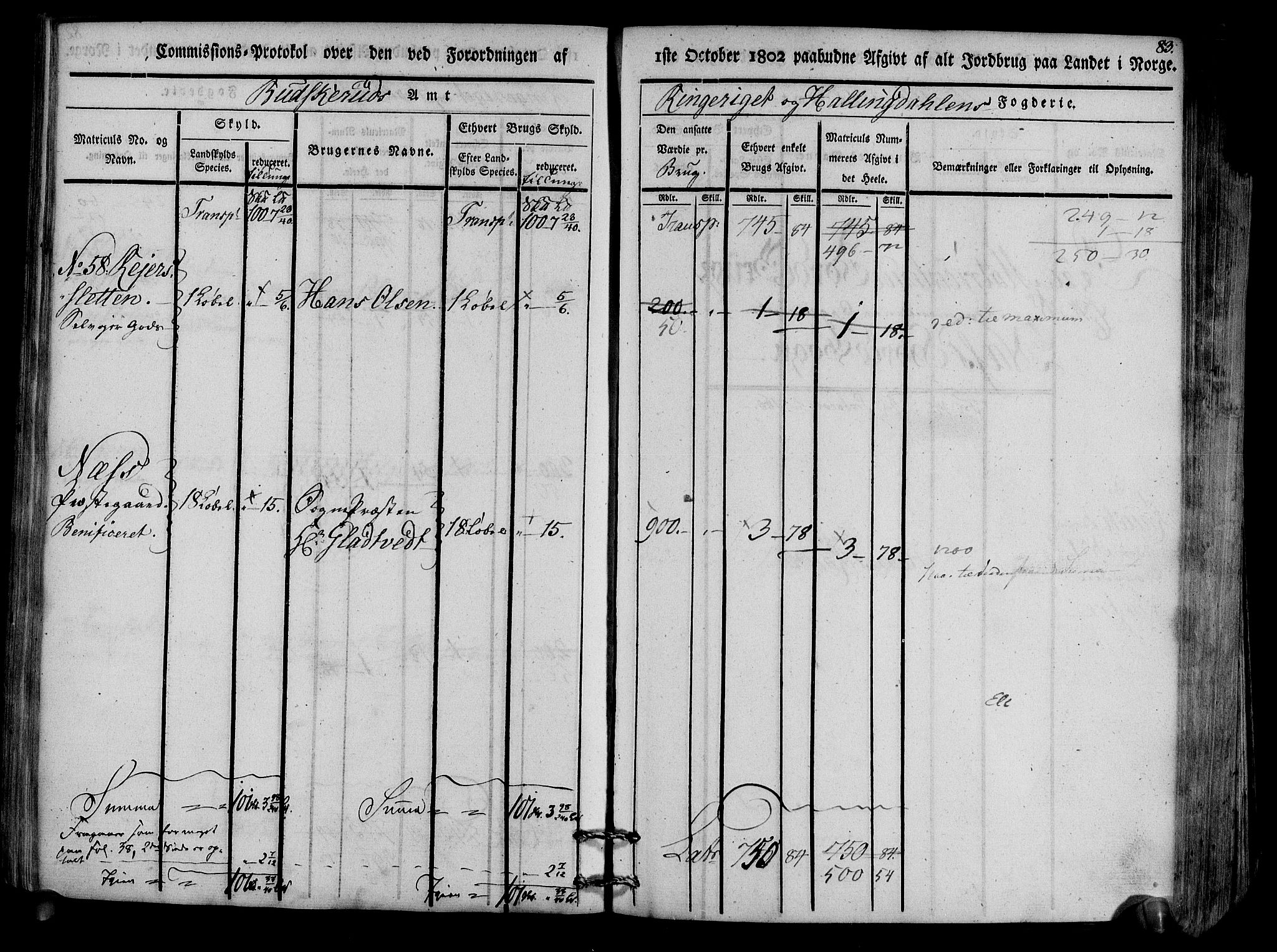 Rentekammeret inntil 1814, Realistisk ordnet avdeling, AV/RA-EA-4070/N/Ne/Nea/L0047: Ringerike og Hallingdal fogderi. Kommisjonsprotokoll for Nes prestegjeld, 1803, s. 86