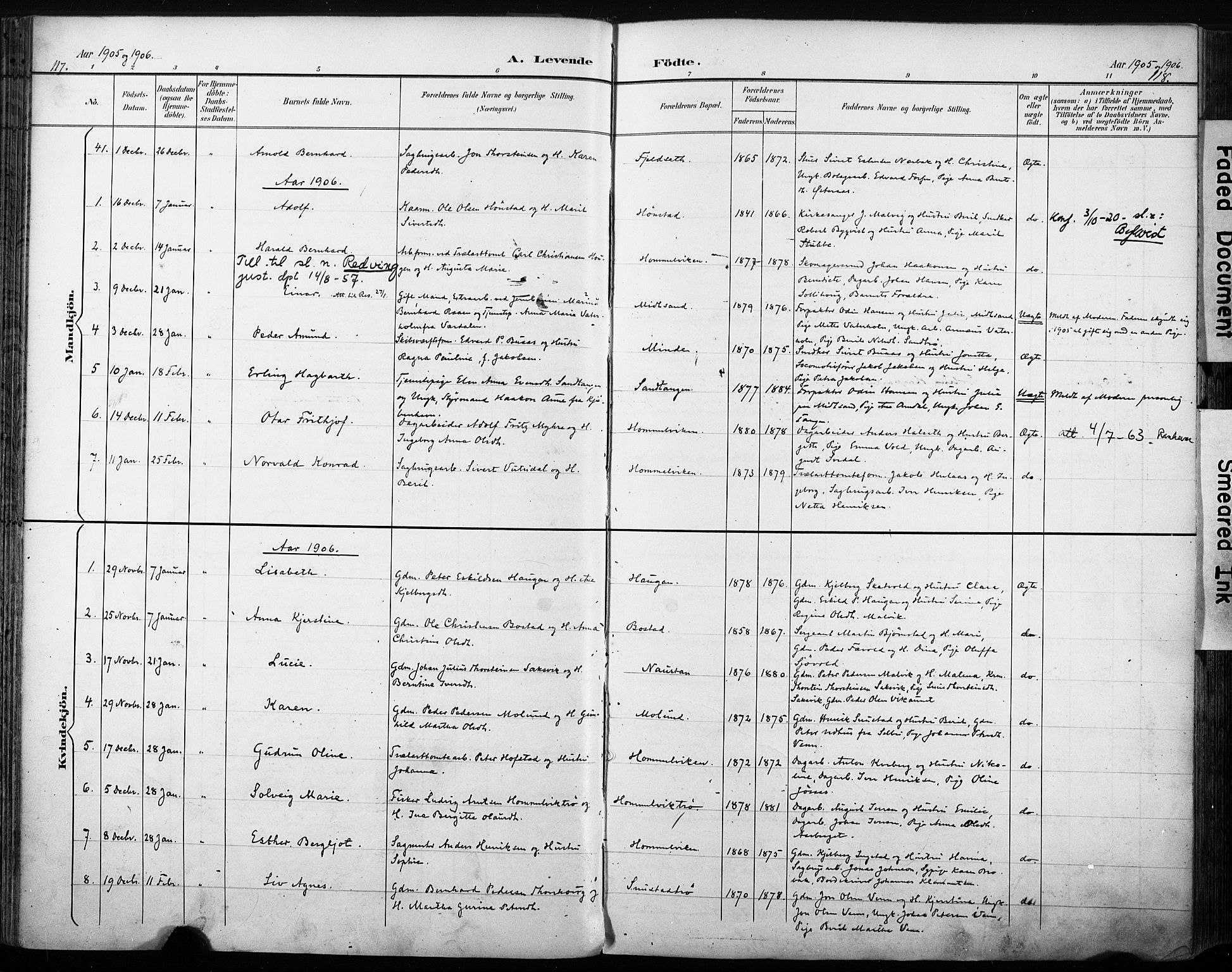 Ministerialprotokoller, klokkerbøker og fødselsregistre - Sør-Trøndelag, SAT/A-1456/616/L0411: Ministerialbok nr. 616A08, 1894-1906, s. 117-118