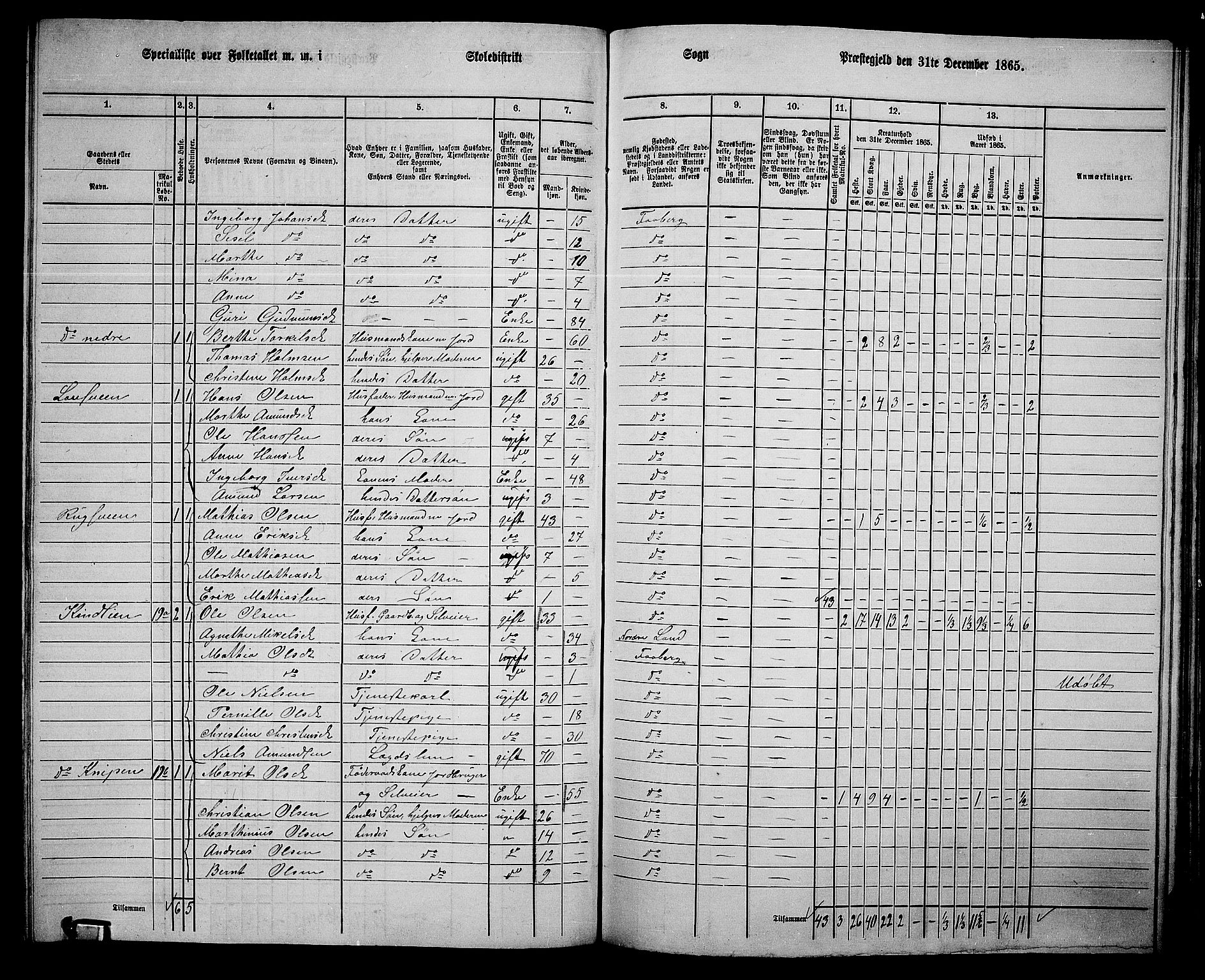 RA, Folketelling 1865 for 0524L Fåberg prestegjeld, Fåberg sokn og Lillehammer landsokn, 1865, s. 199