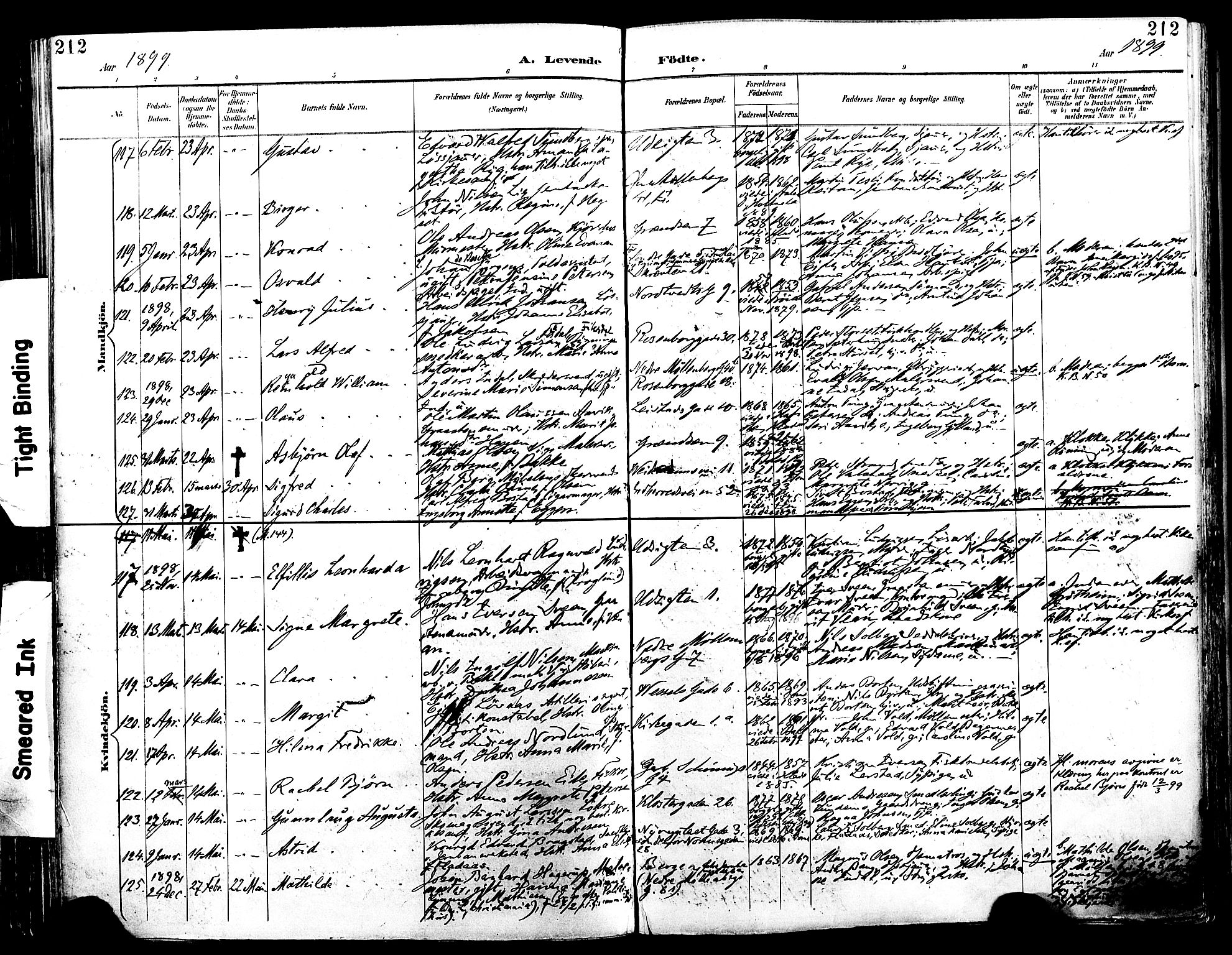 Ministerialprotokoller, klokkerbøker og fødselsregistre - Sør-Trøndelag, SAT/A-1456/604/L0197: Ministerialbok nr. 604A18, 1893-1900, s. 212