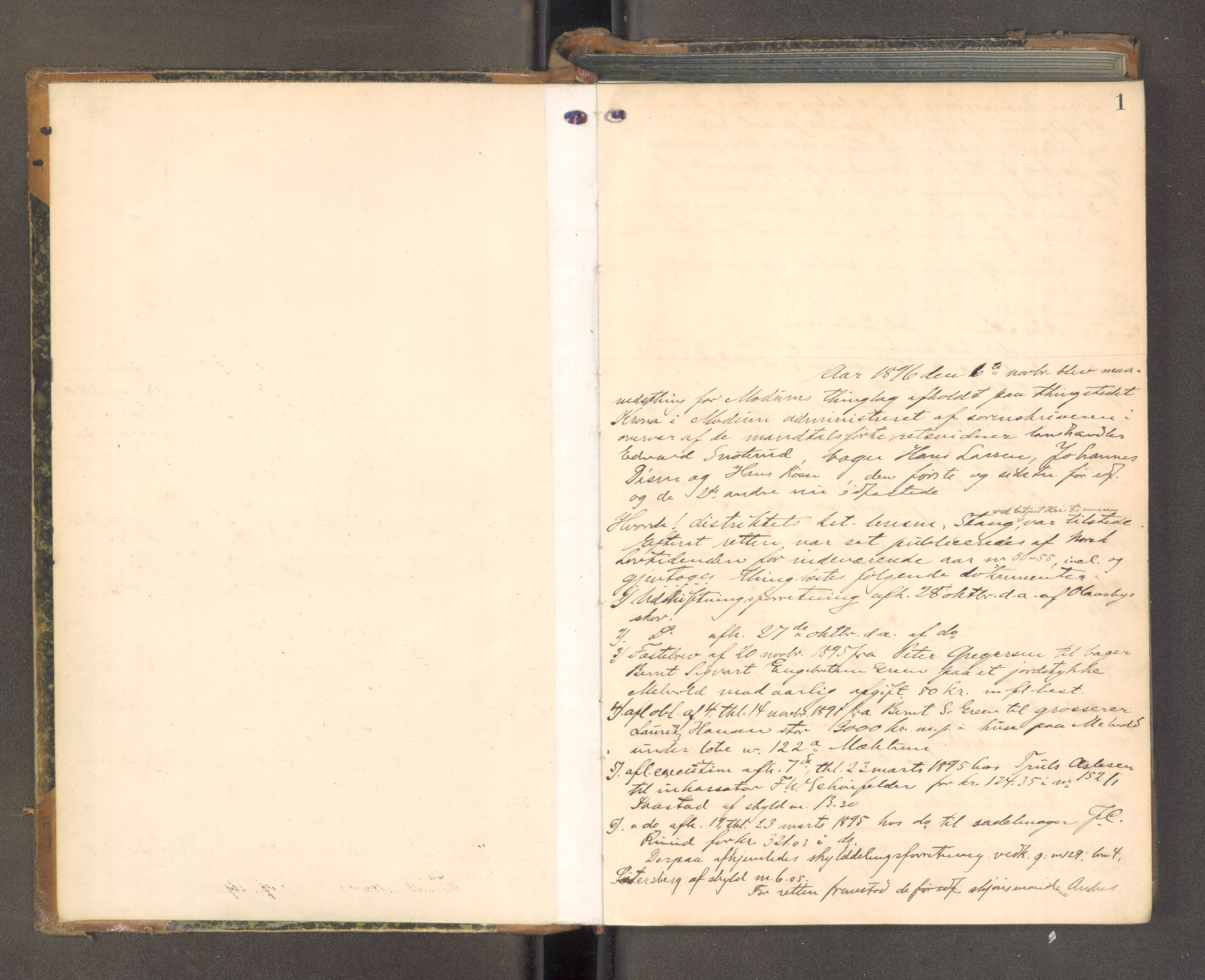 Eiker, Modum og Sigdal sorenskriveri, AV/SAKO-A-123/F/Fa/Fac/L0030: Tingbok, 1896-1900, s. 1a