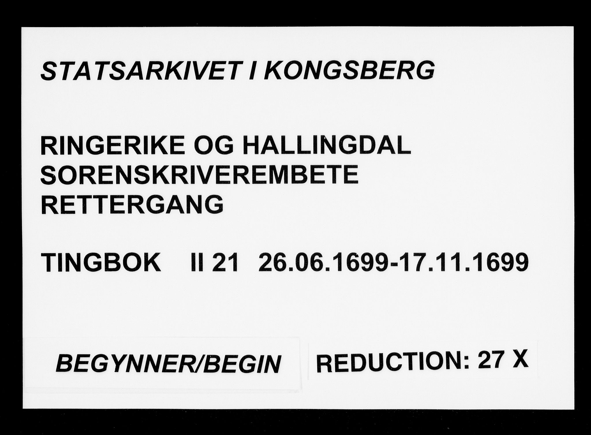 Ringerike og Hallingdal sorenskriveri, AV/SAKO-A-81/F/Fa/Fab/L0021: Tingbok - Sorenskriveriet, 1699