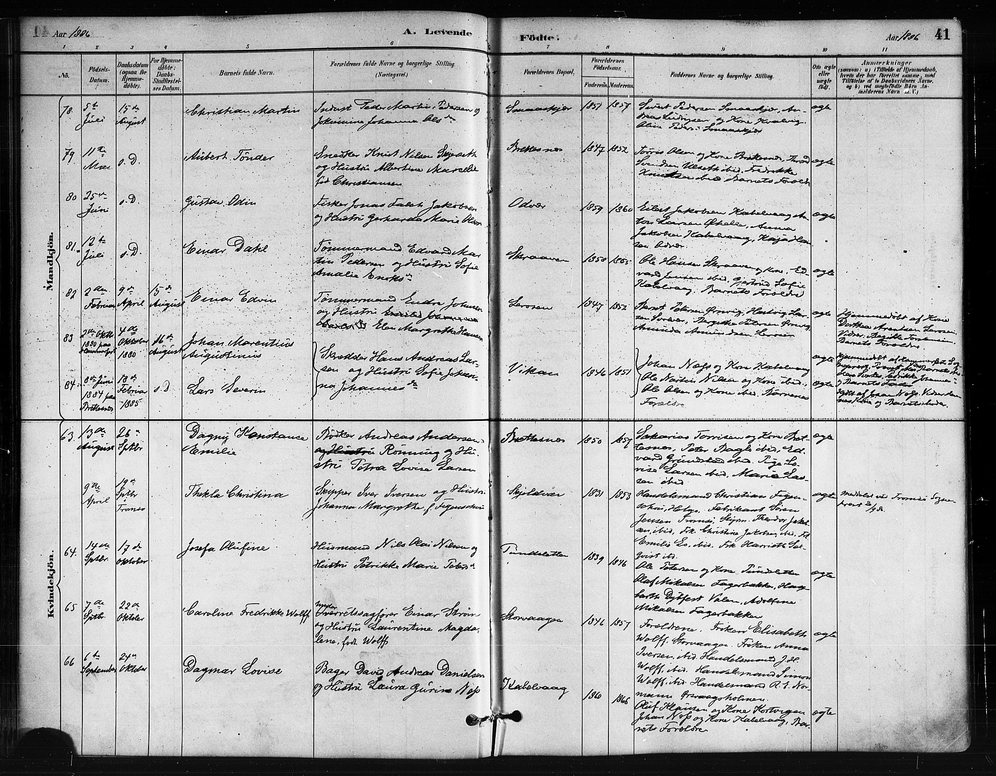 Ministerialprotokoller, klokkerbøker og fødselsregistre - Nordland, SAT/A-1459/874/L1059: Ministerialbok nr. 874A03, 1884-1890, s. 41