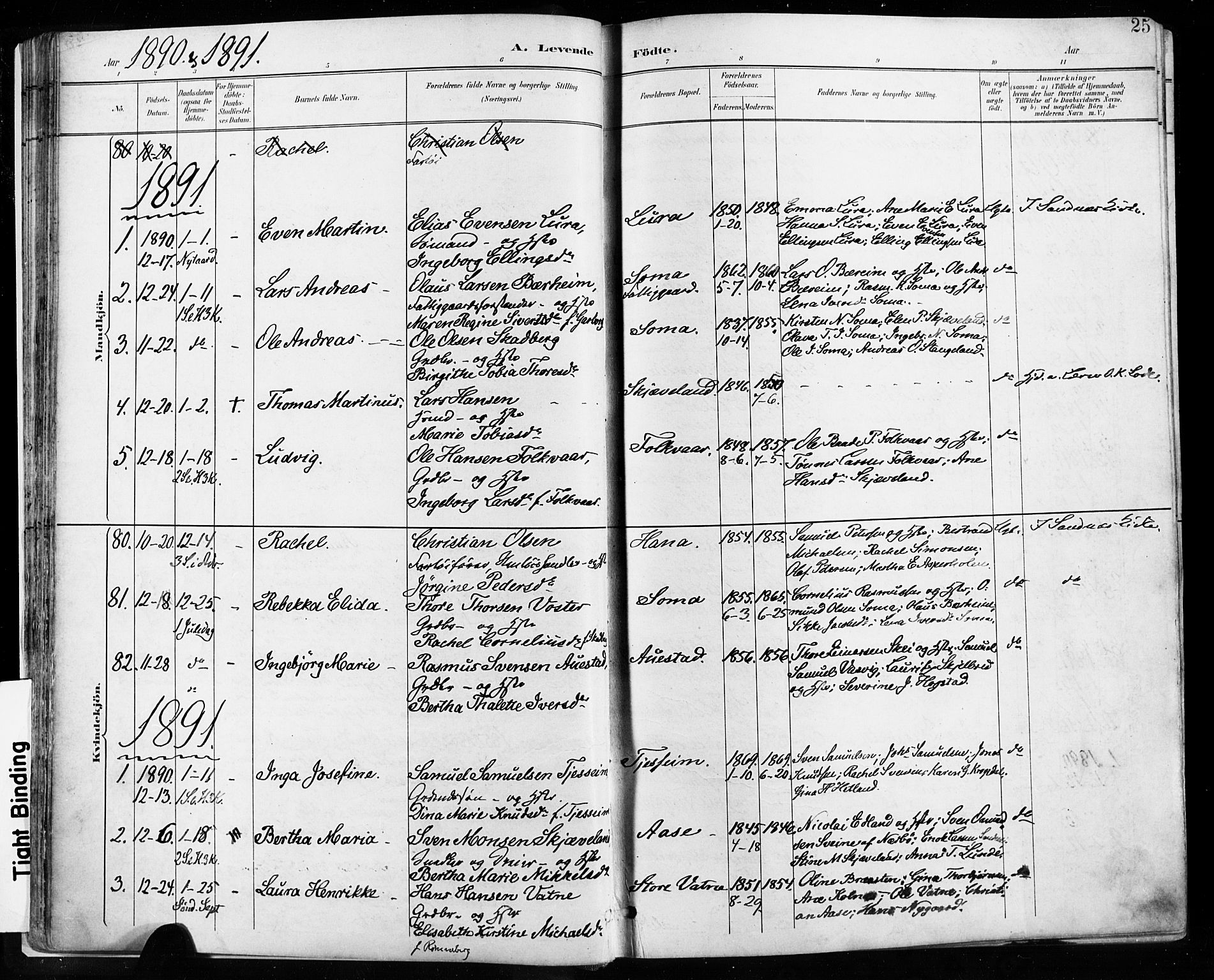 Høyland sokneprestkontor, AV/SAST-A-101799/001/30BA/L0013: Ministerialbok nr. A 13.1, 1889-1898, s. 25