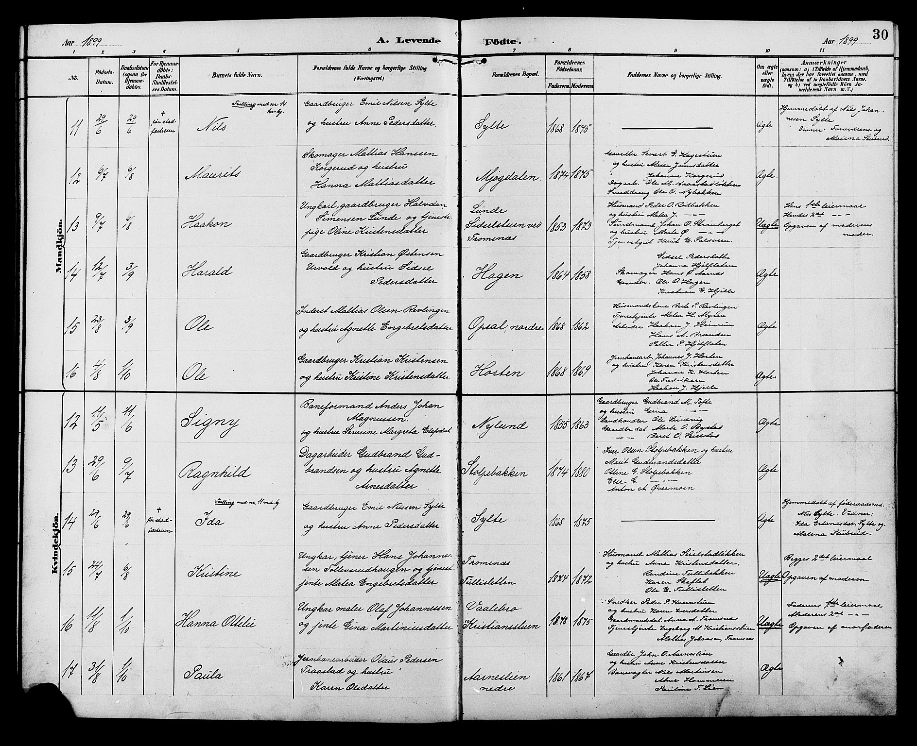 Ringebu prestekontor, AV/SAH-PREST-082/H/Ha/Hab/L0007: Klokkerbok nr. 7, 1890-1910, s. 30